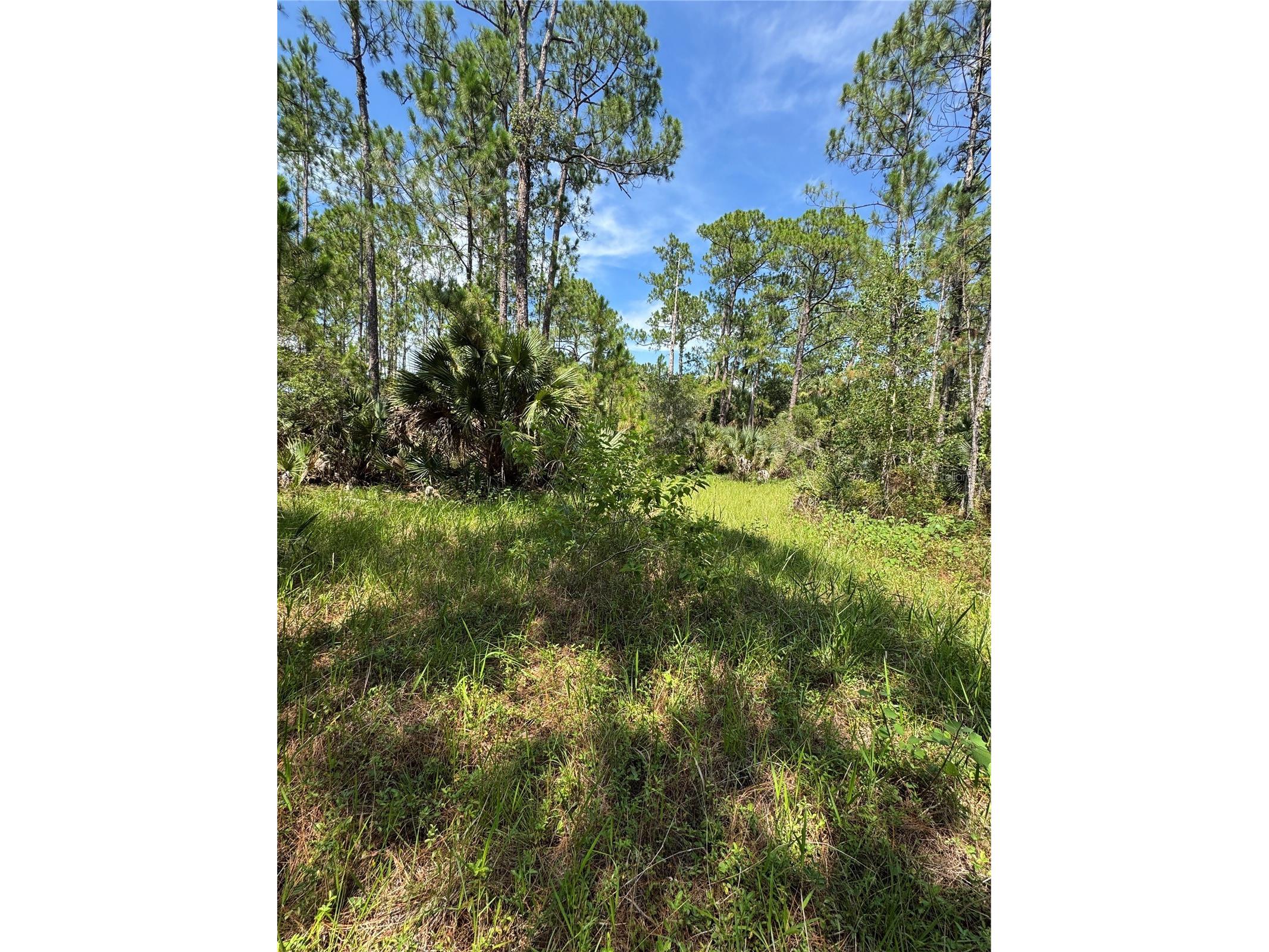 4300 Justa Road Mims FL 32754 O6387999 image4