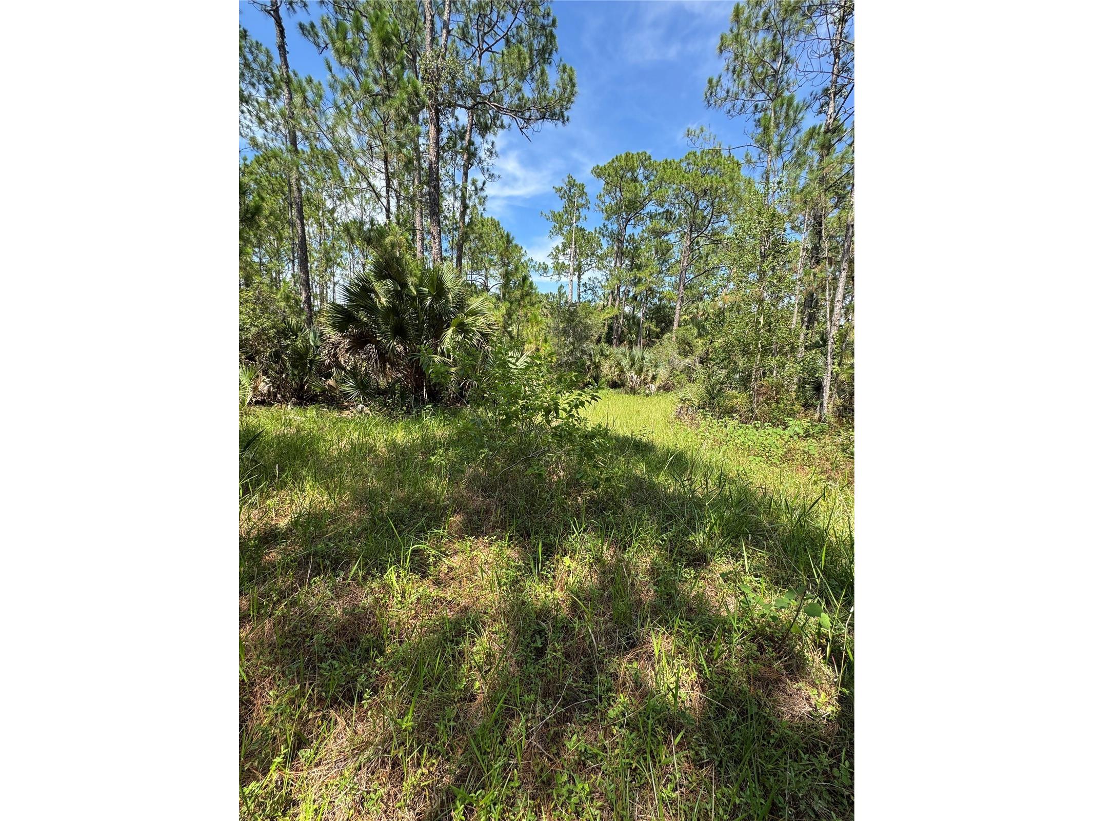 4300 Justa Road Mims FL 32754 O6387999 image5
