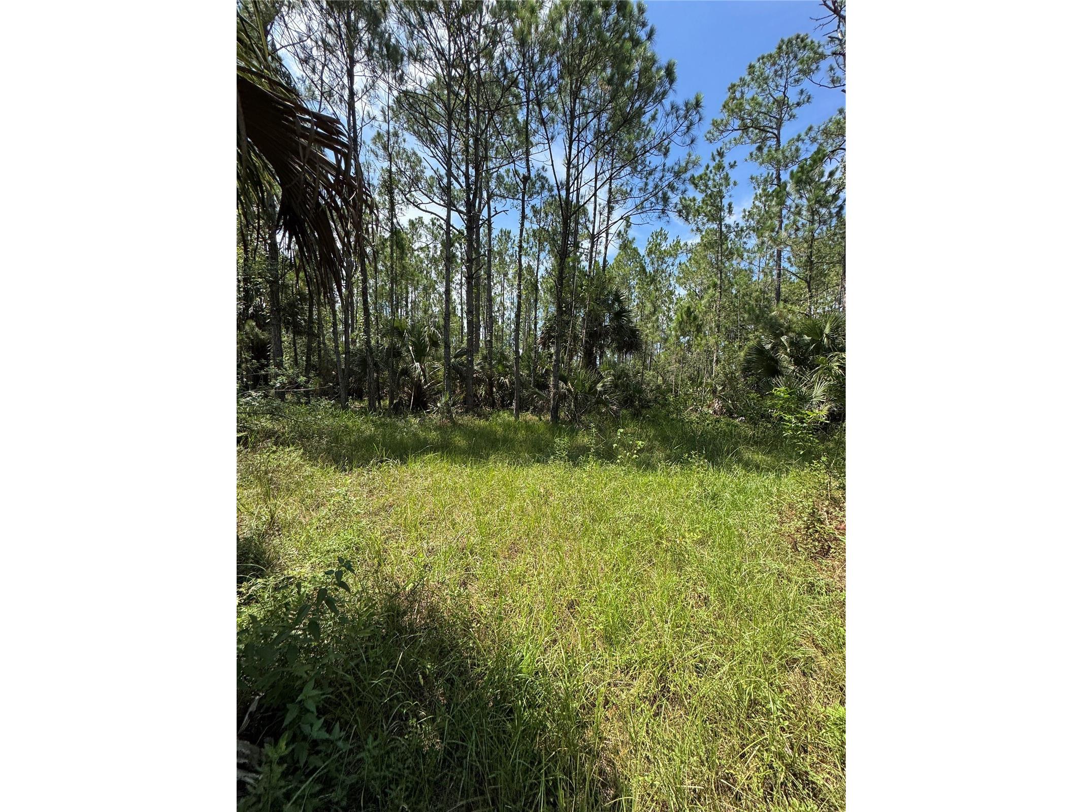 4300 Justa Road Mims FL 32754 O6387999 image6