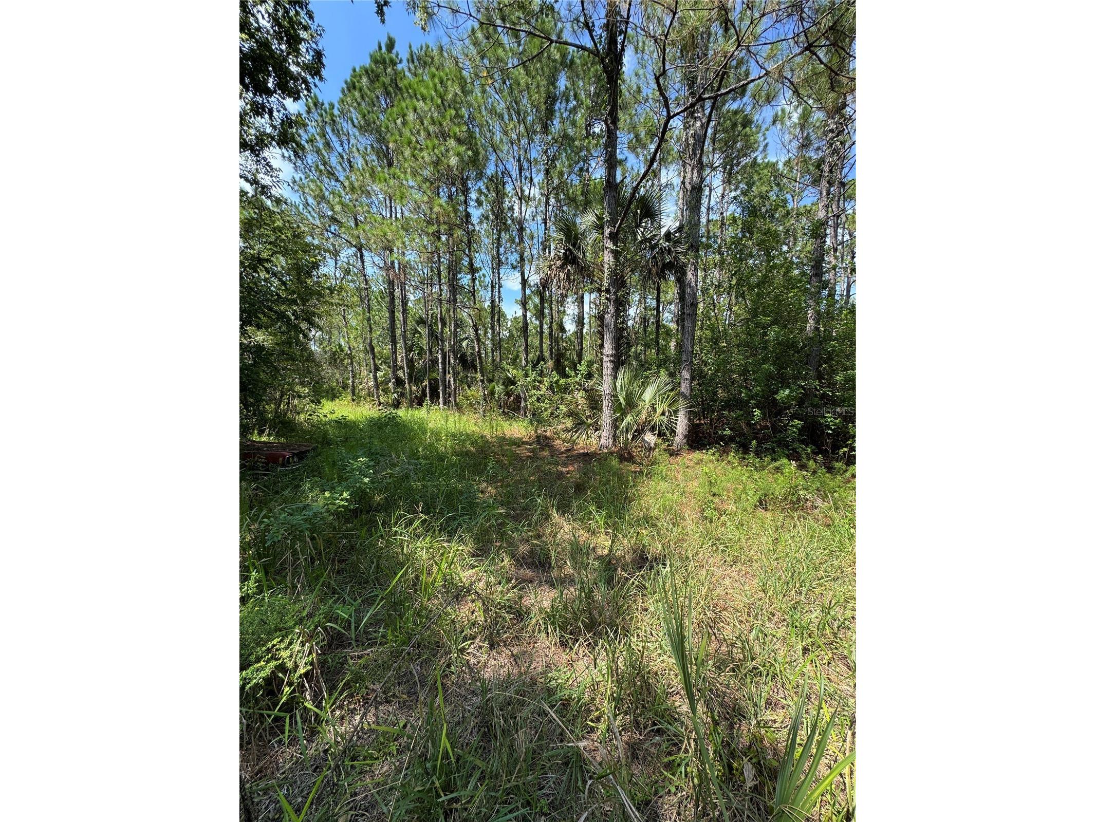 4300 Justa Road Mims FL 32754 O6387999 image7