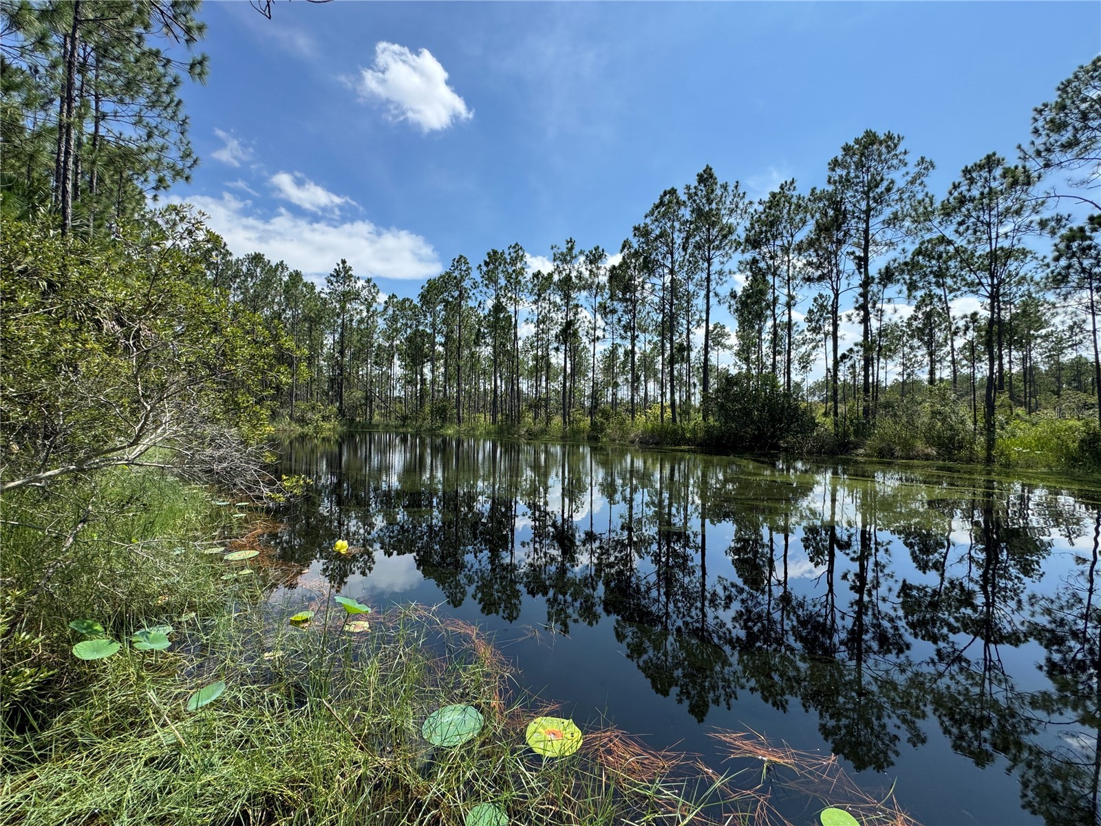 4300 Justa Road Mims FL 32754 O6387999 image9