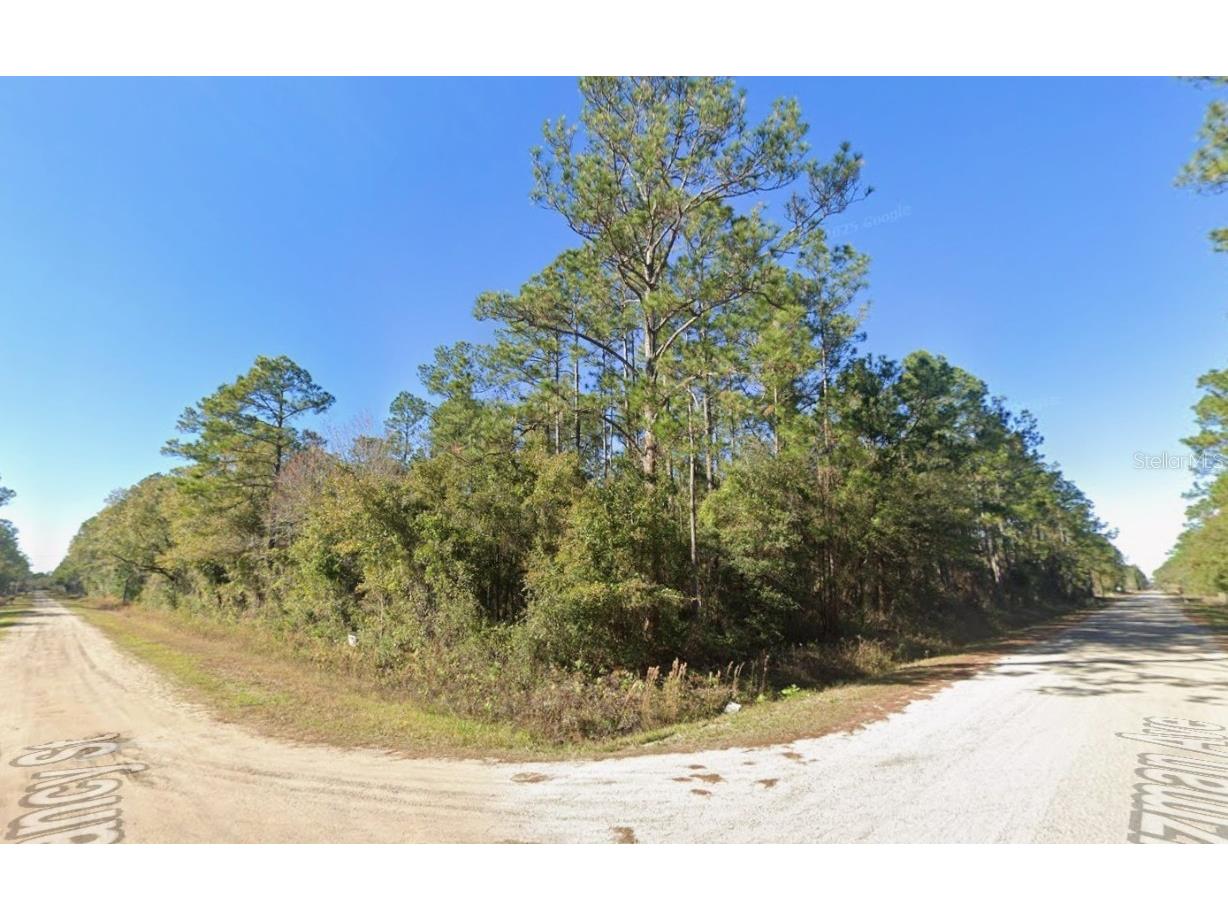 4300 Nancy Street Hastings FL 32145 OK225785 image2