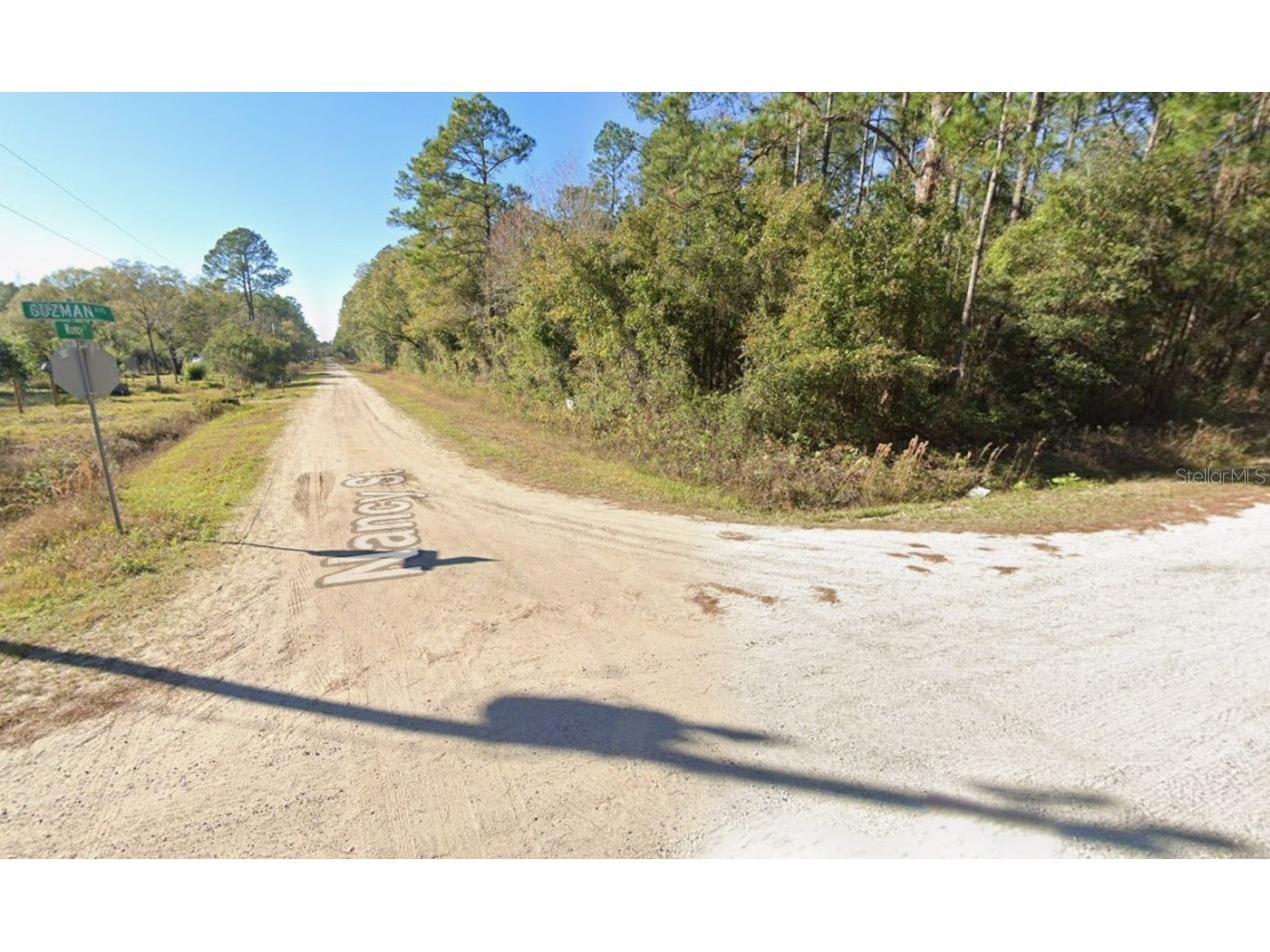 4300 Nancy Street Hastings FL 32145 OK225785 image3