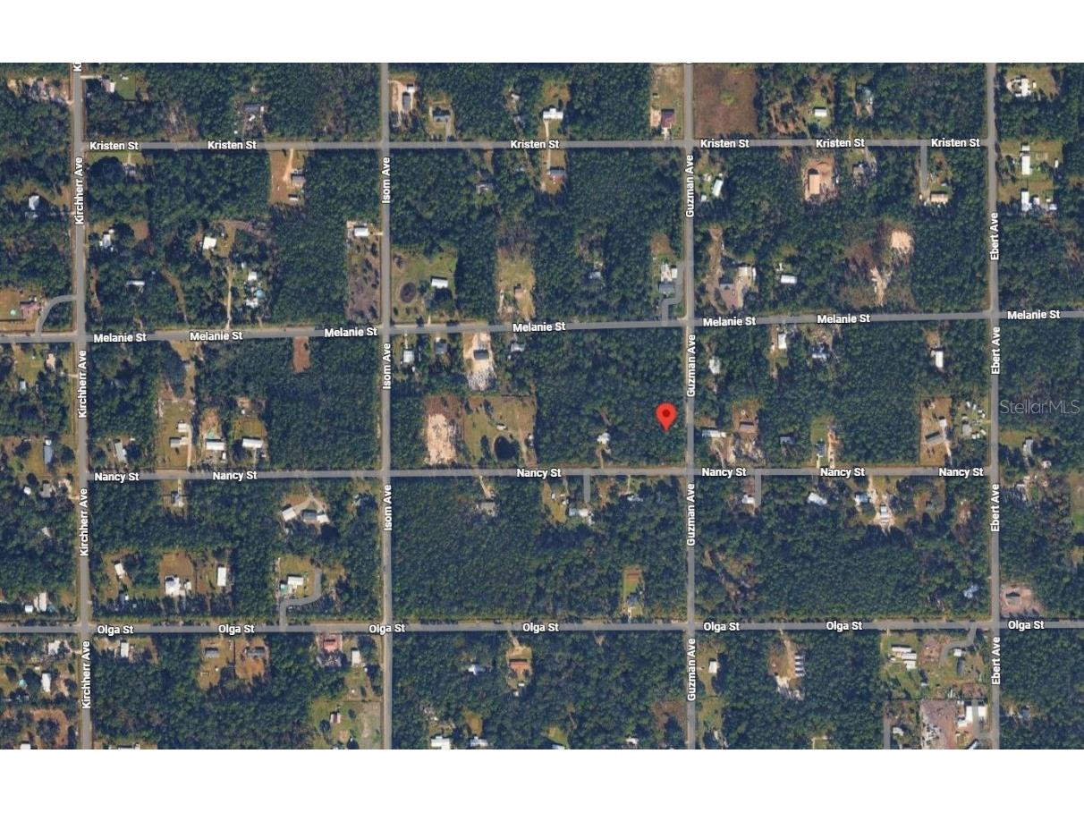 4300 Nancy Street Hastings FL 32145 OK225785 image4