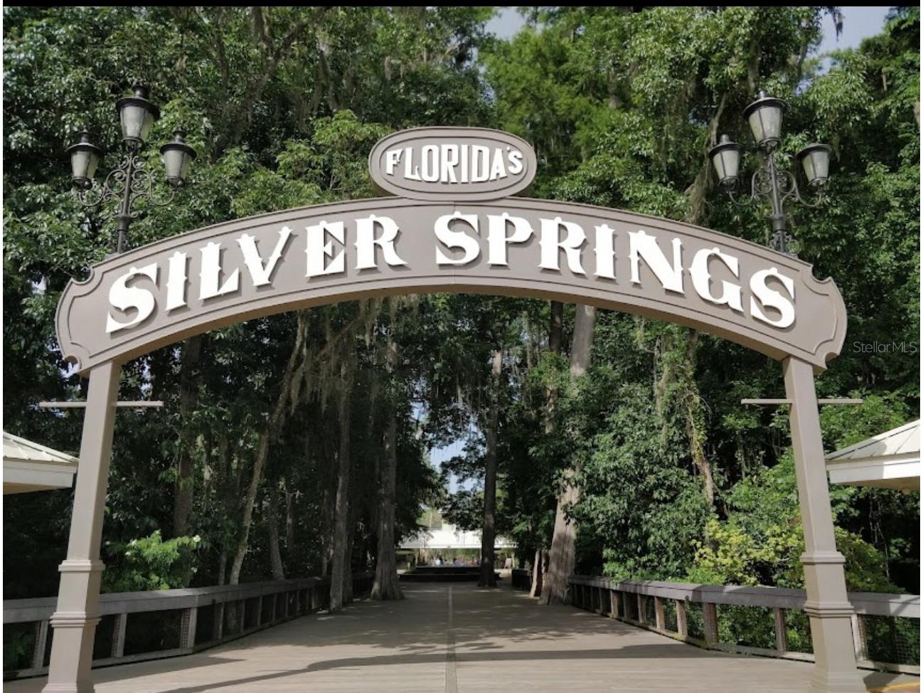 4300 NE 132nd Court Silver Springs FL 34488 OM726066 image44