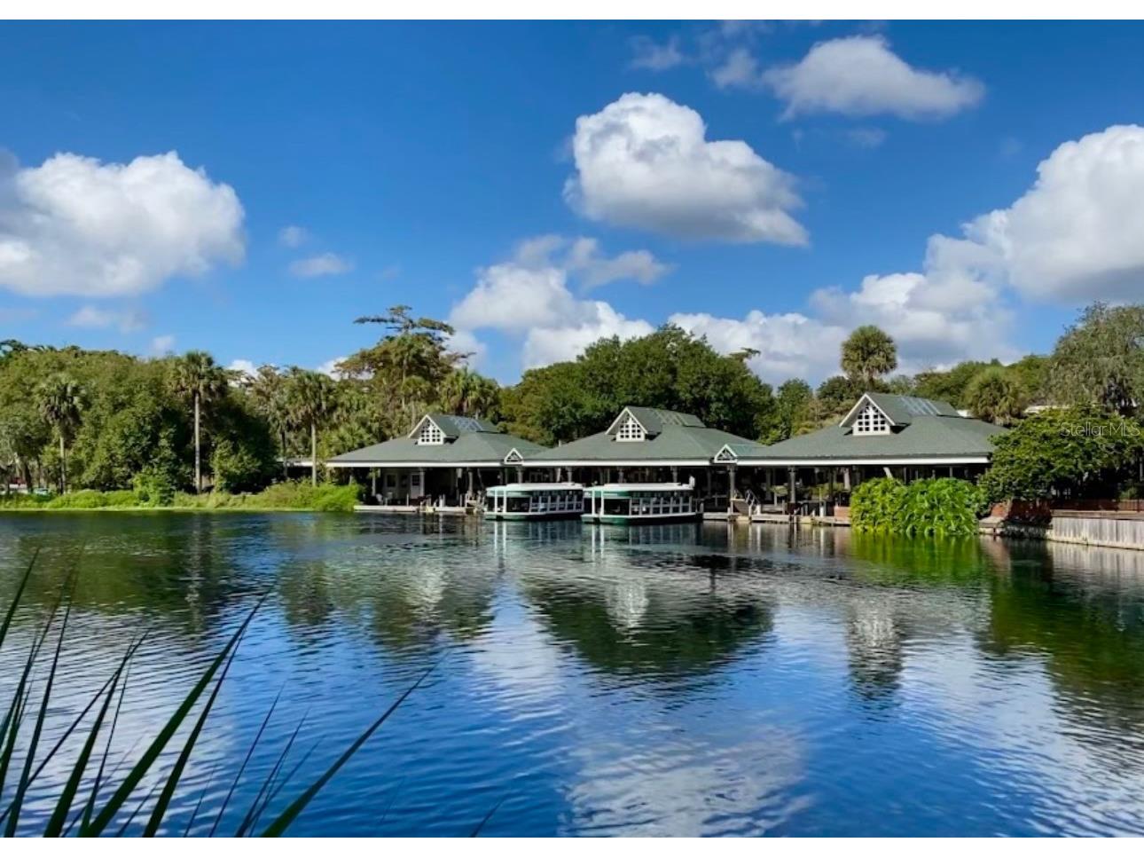 4300 NE 132nd Court Silver Springs FL 34488 OM726066 image45