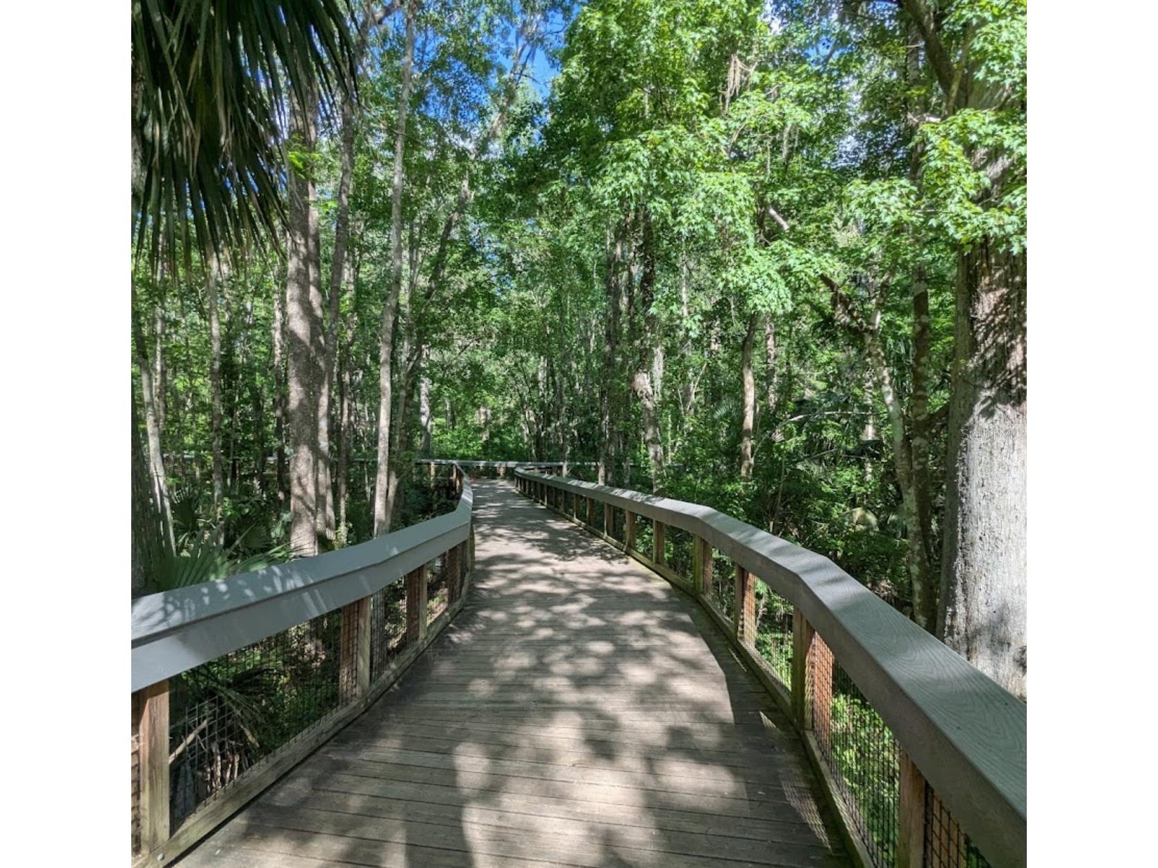 4300 NE 132nd Court Silver Springs FL 34488 OM726066 image47
