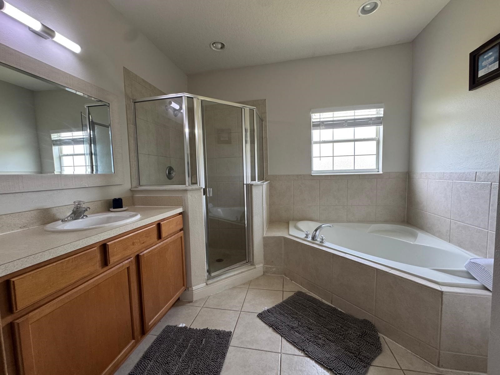 4300 Paradise Cove Court #4300 Kissimmee FL 34746 O6406963 image12