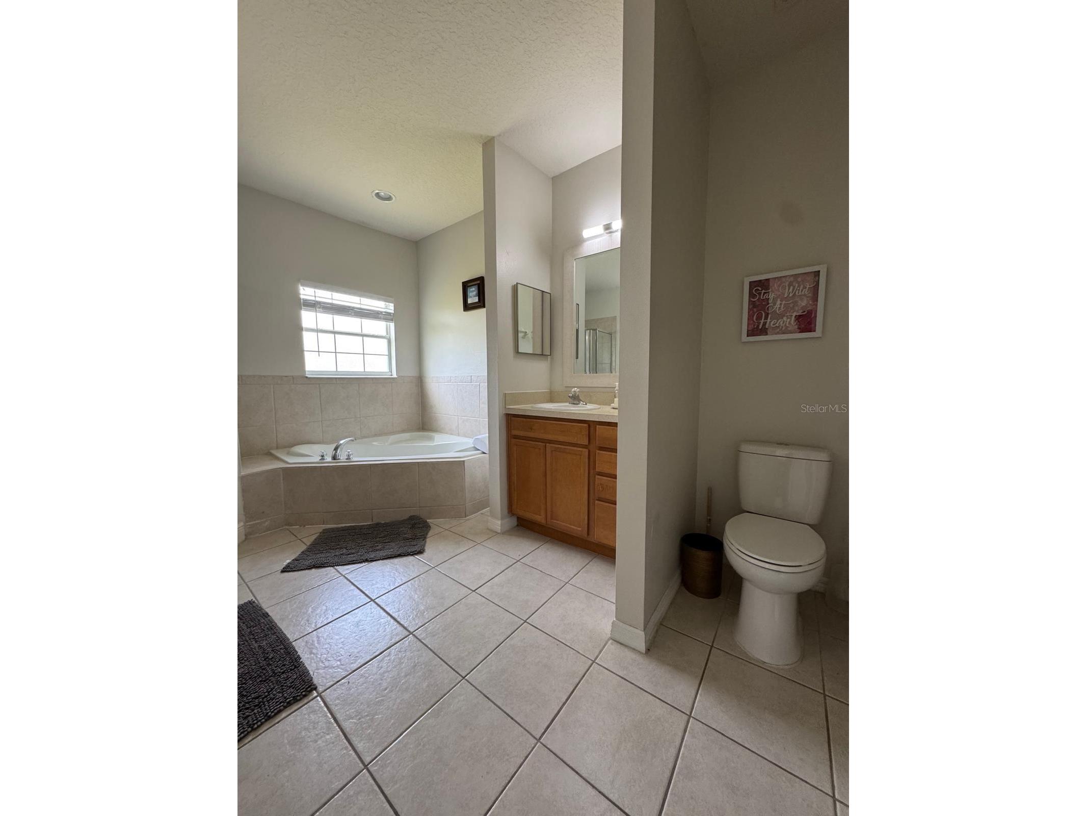4300 Paradise Cove Court #4300 Kissimmee FL 34746 O6406963 image13