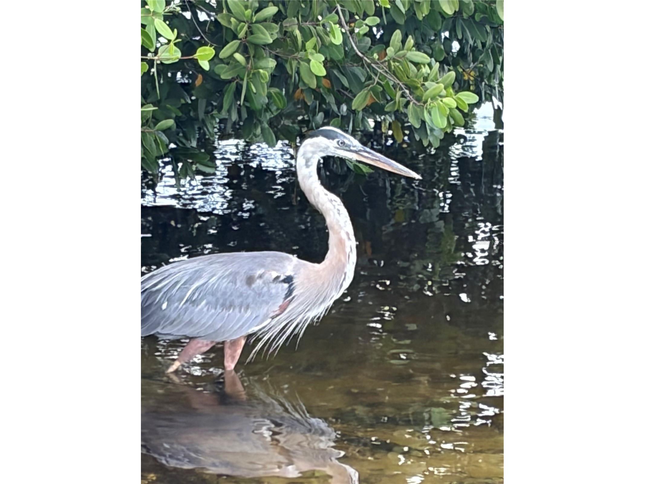 4300 Riverside Drive #109 Punta Gorda FL 33982 A4694477 image19