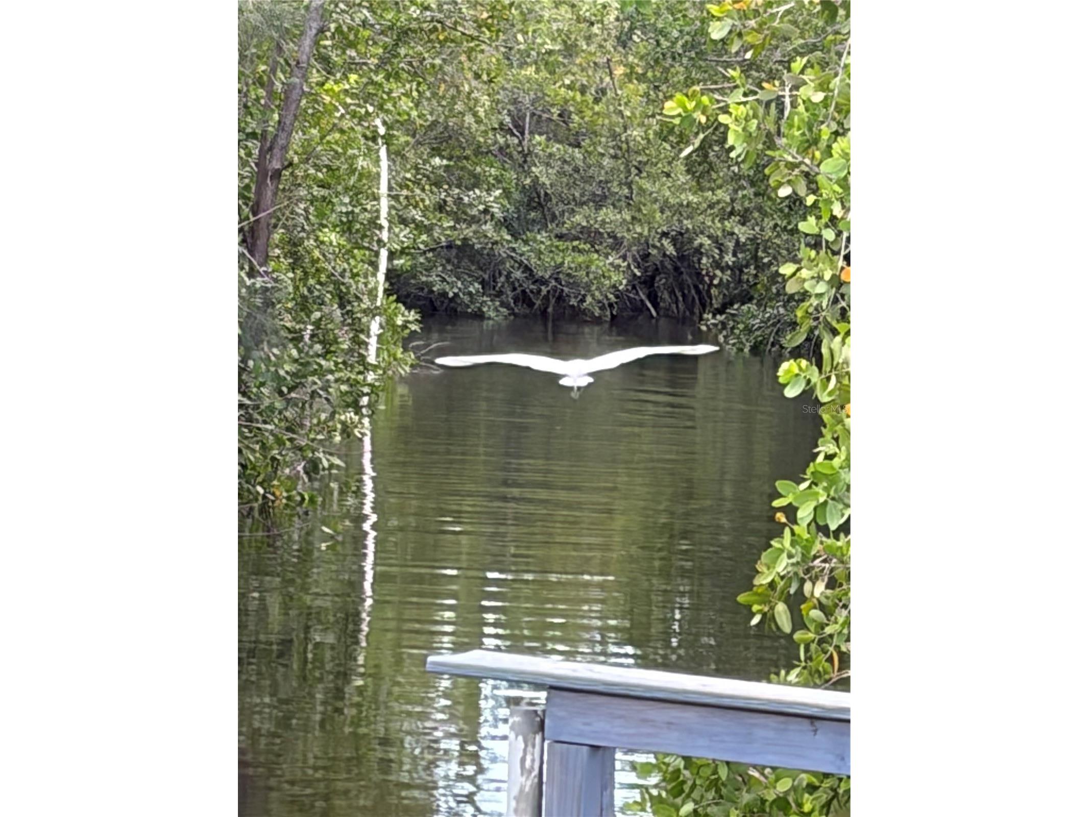 4300 Riverside Drive #109 Punta Gorda FL 33982 A4694477 image26