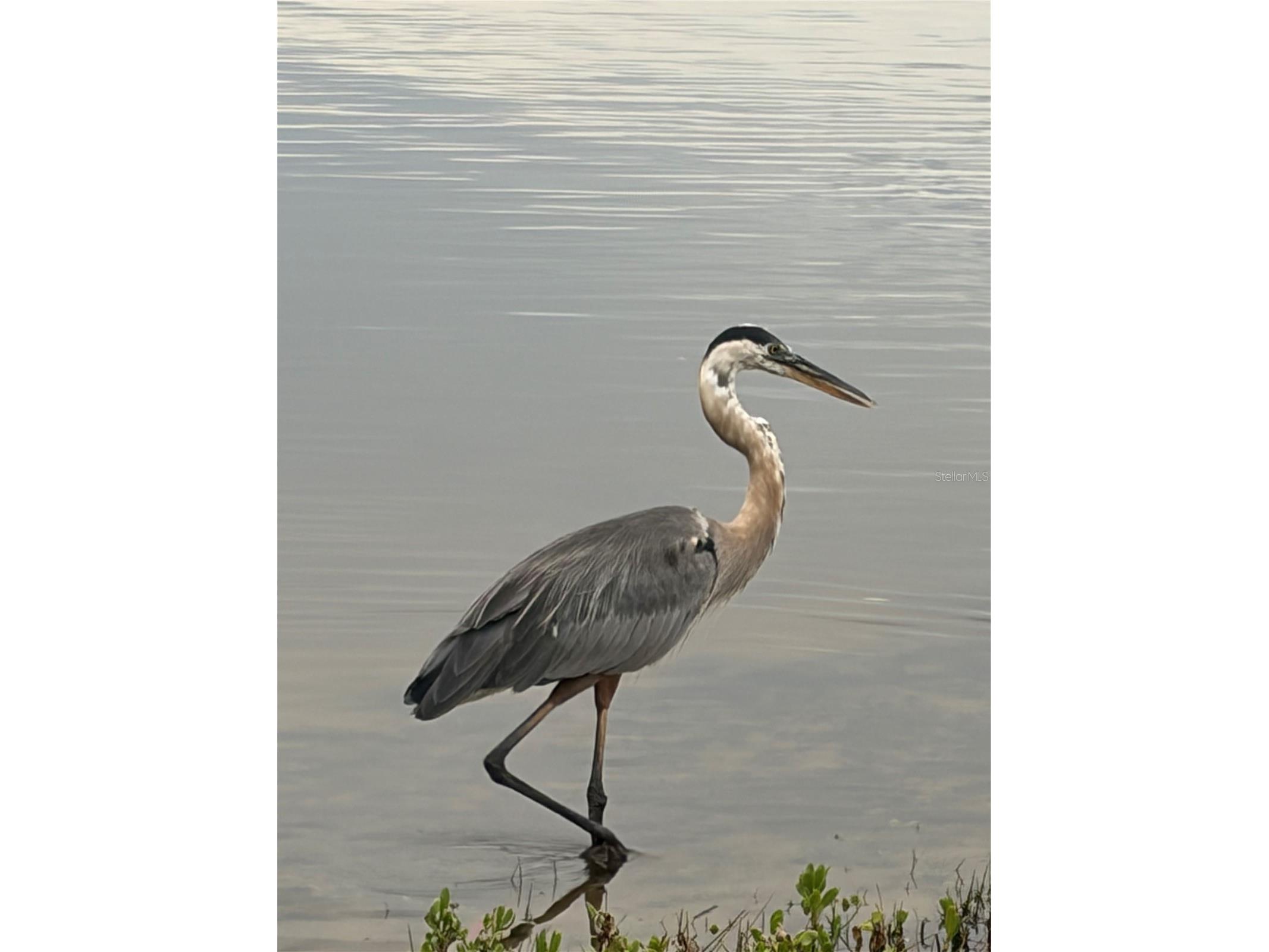 4300 Riverside Drive #109 Punta Gorda FL 33982 A4694477 image27