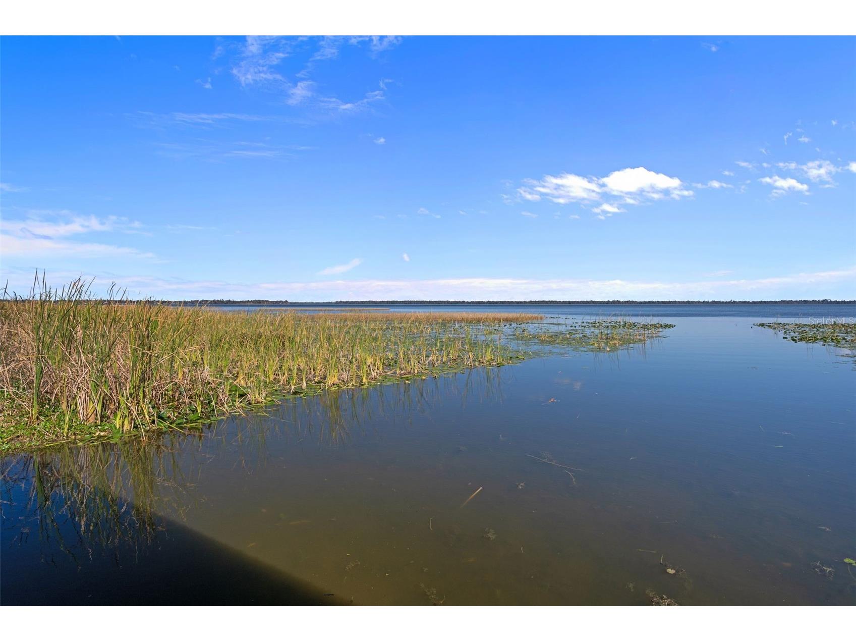 4300 Timberlane Road Lake Wales FL 33898 - LAKE PIERCE TB8466414 image70