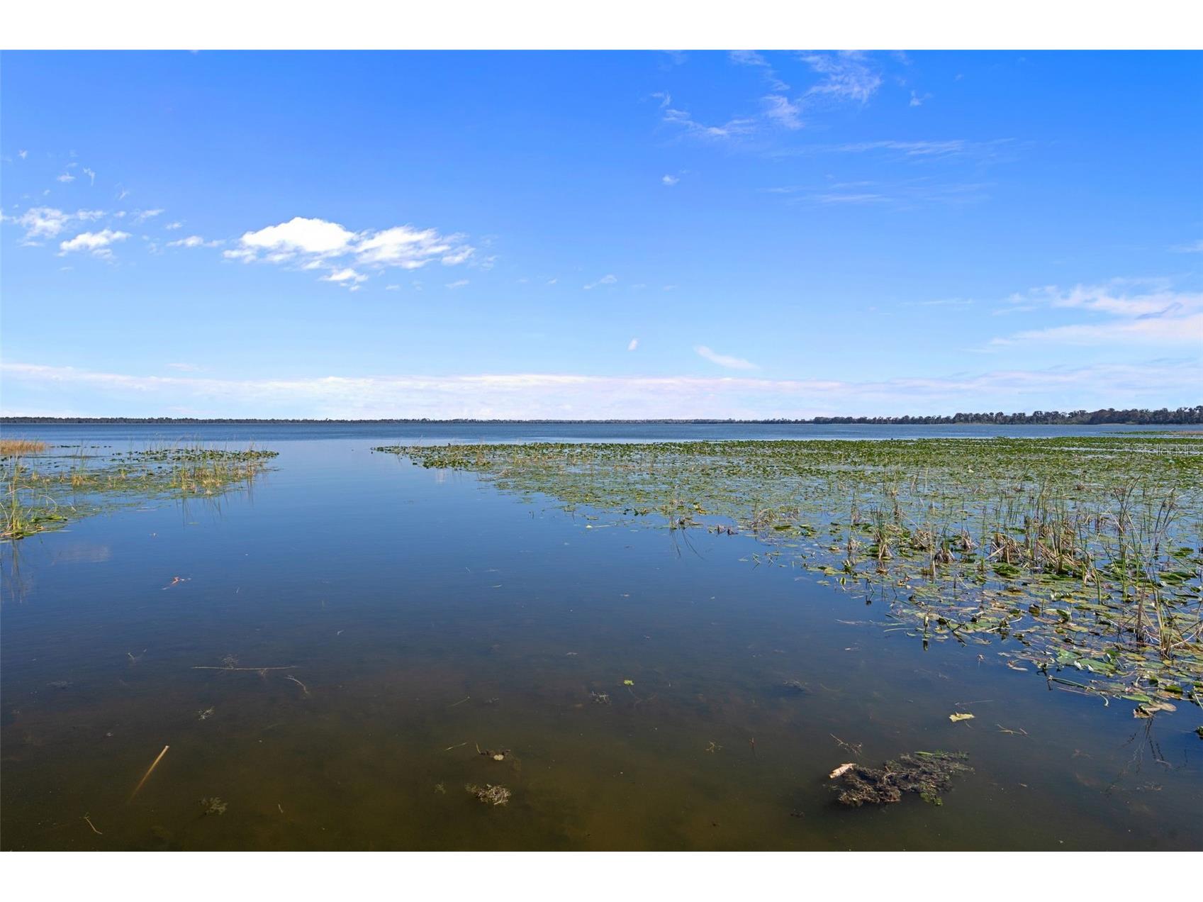 4300 Timberlane Road Lake Wales FL 33898 - LAKE PIERCE TB8466414 image71