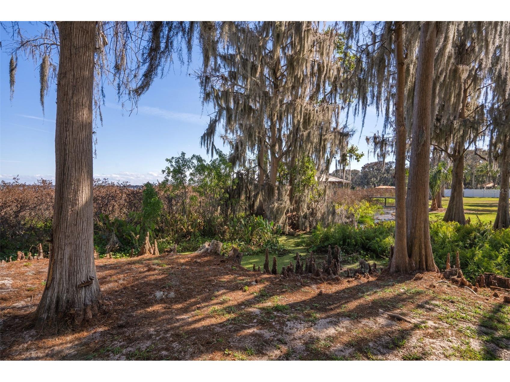 4300 Timberlane Road Lake Wales FL 33898 - LAKE PIERCE TB8466414 image82