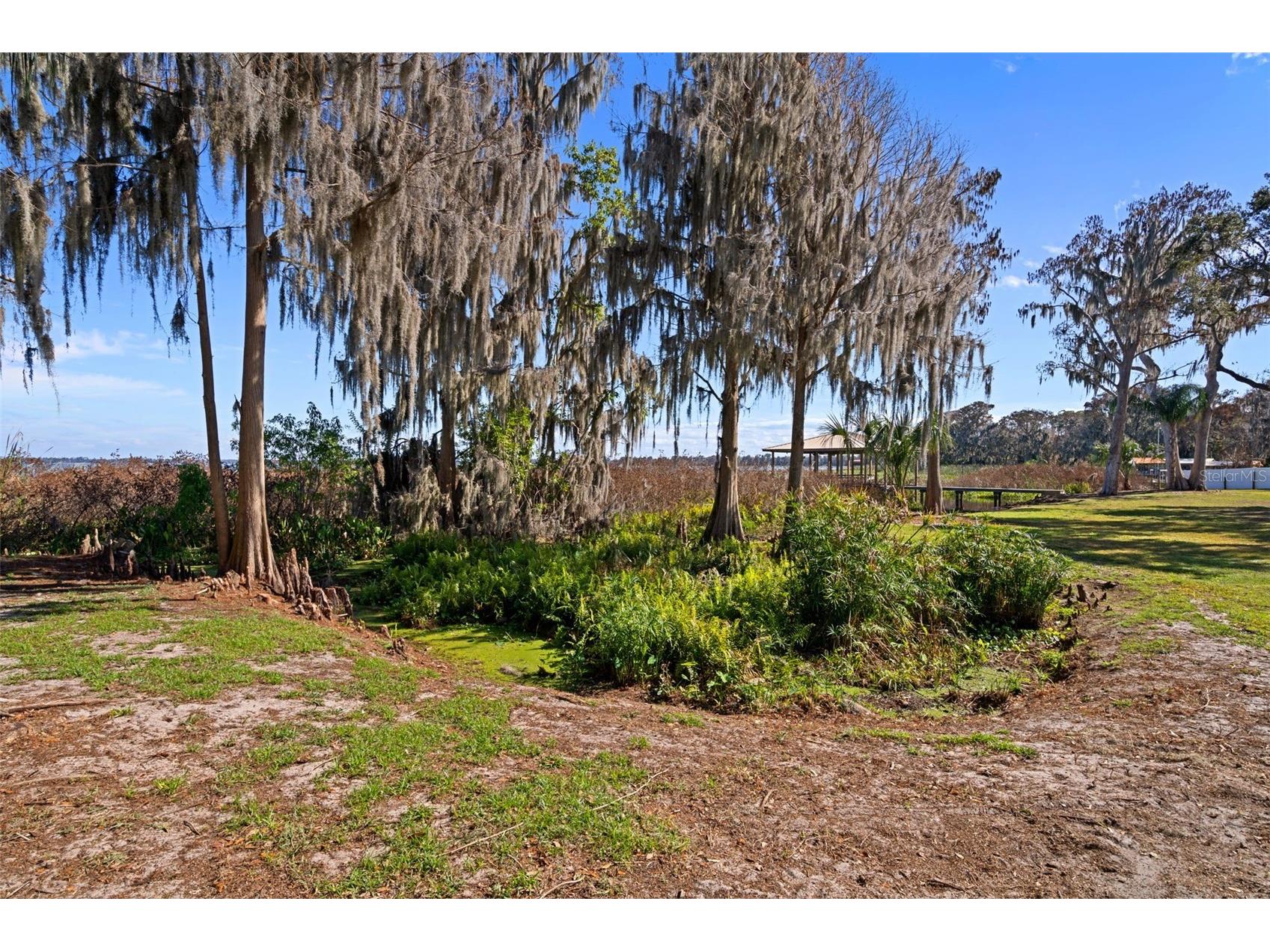 4300 Timberlane Road Lake Wales FL 33898 - LAKE PIERCE TB8466414 image83