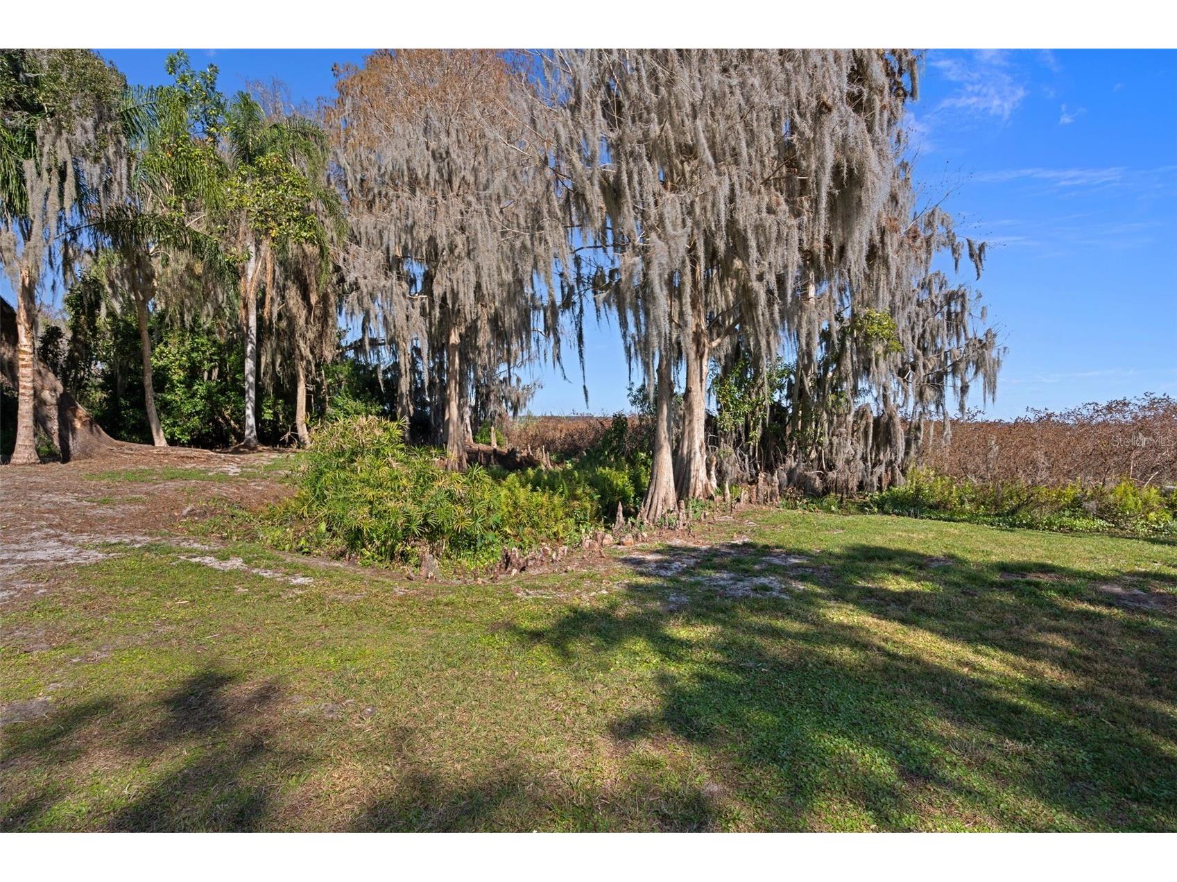 4300 Timberlane Road Lake Wales FL 33898 - LAKE PIERCE TB8466414 image84