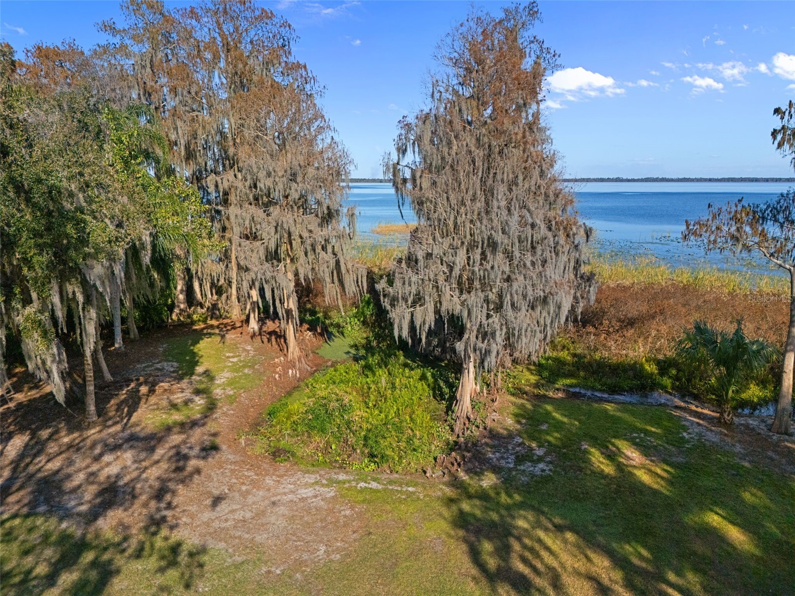 4300 Timberlane Road Lake Wales FL 33898 - LAKE PIERCE TB8466414 image85
