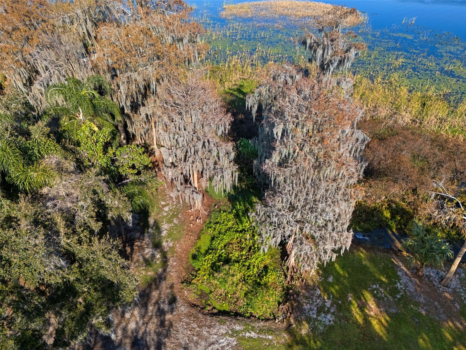 4300 Timberlane Road Lake Wales FL 33898 - LAKE PIERCE TB8466414 image86