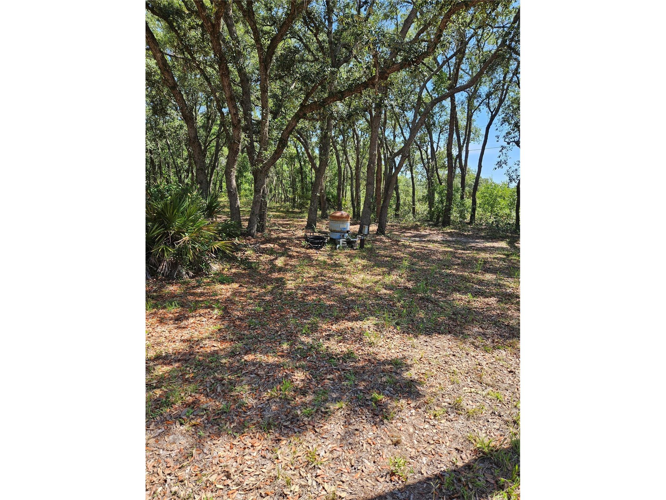 4300 W Roadrunner Court Homosassa FL 34446 TB8514286 image1