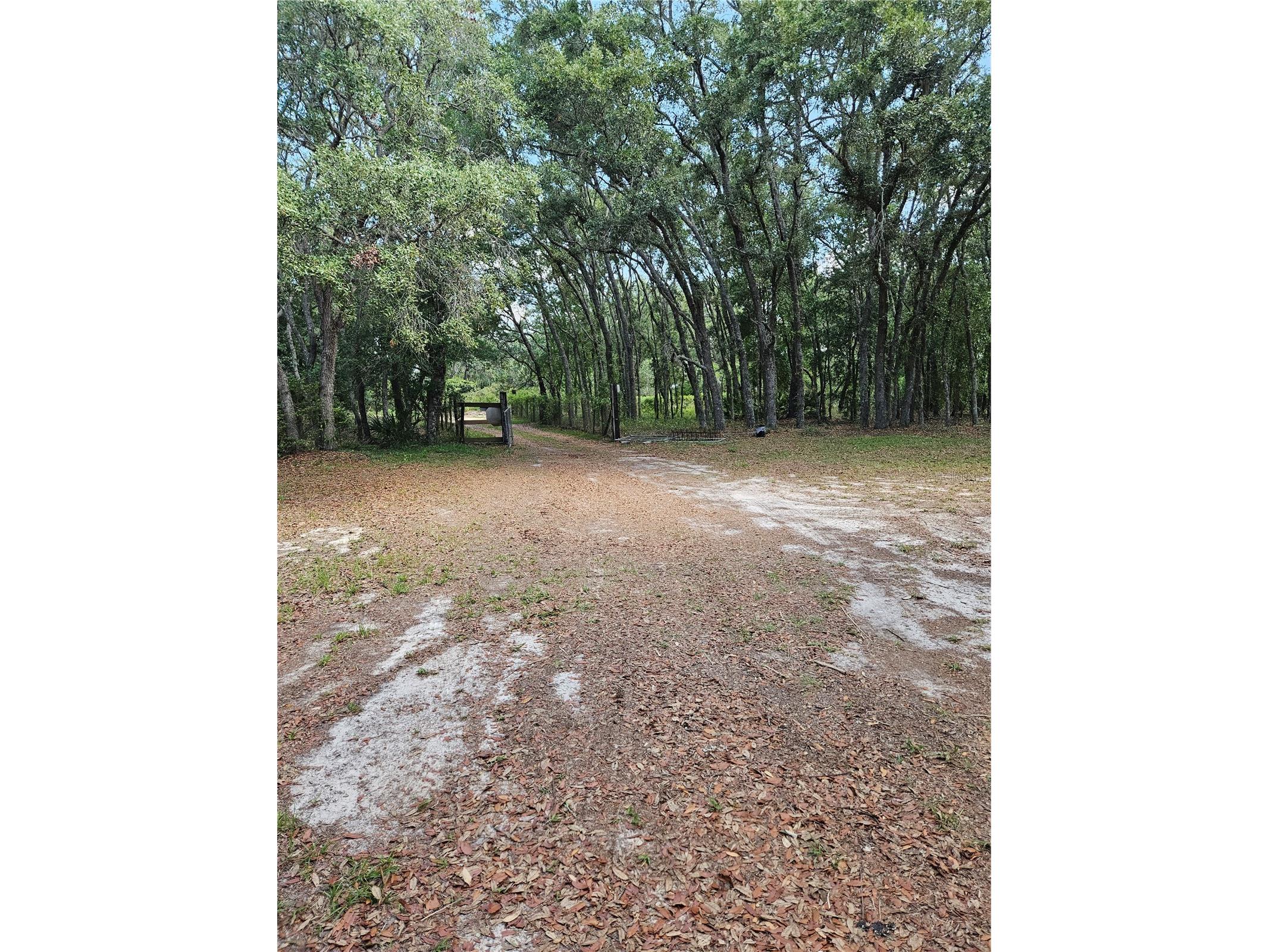 4300 W Roadrunner Court Homosassa FL 34446 TB8514286 image12