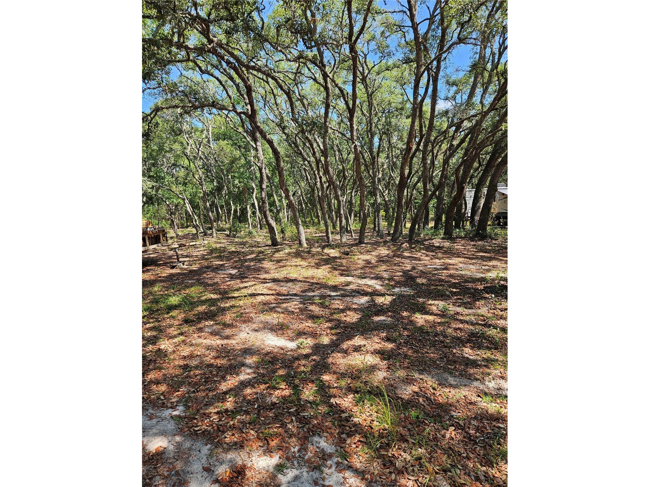4300 W Roadrunner Court Homosassa FL 34446 TB8514286 image2