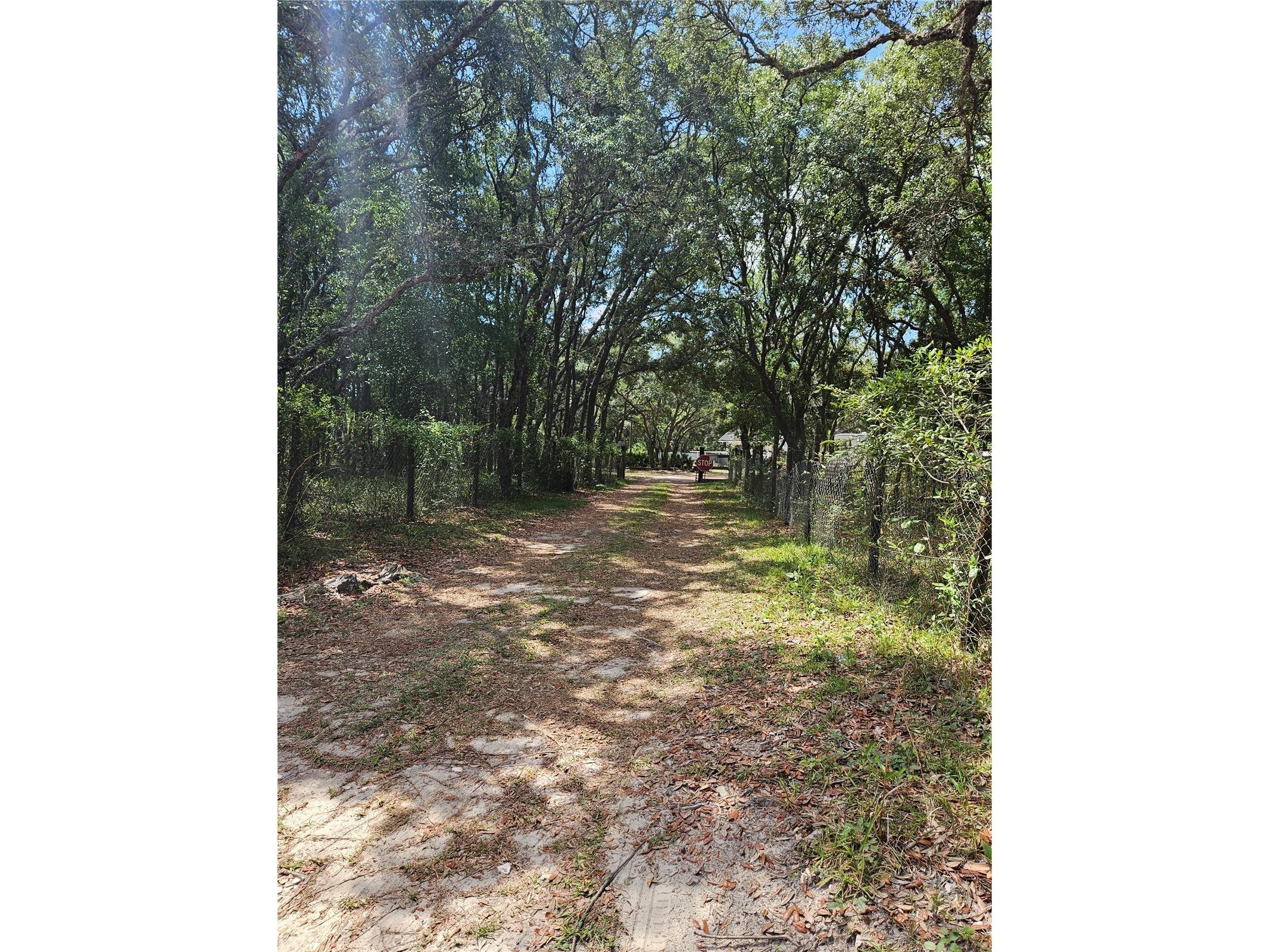 4300 W Roadrunner Court Homosassa FL 34446 TB8514286 image20