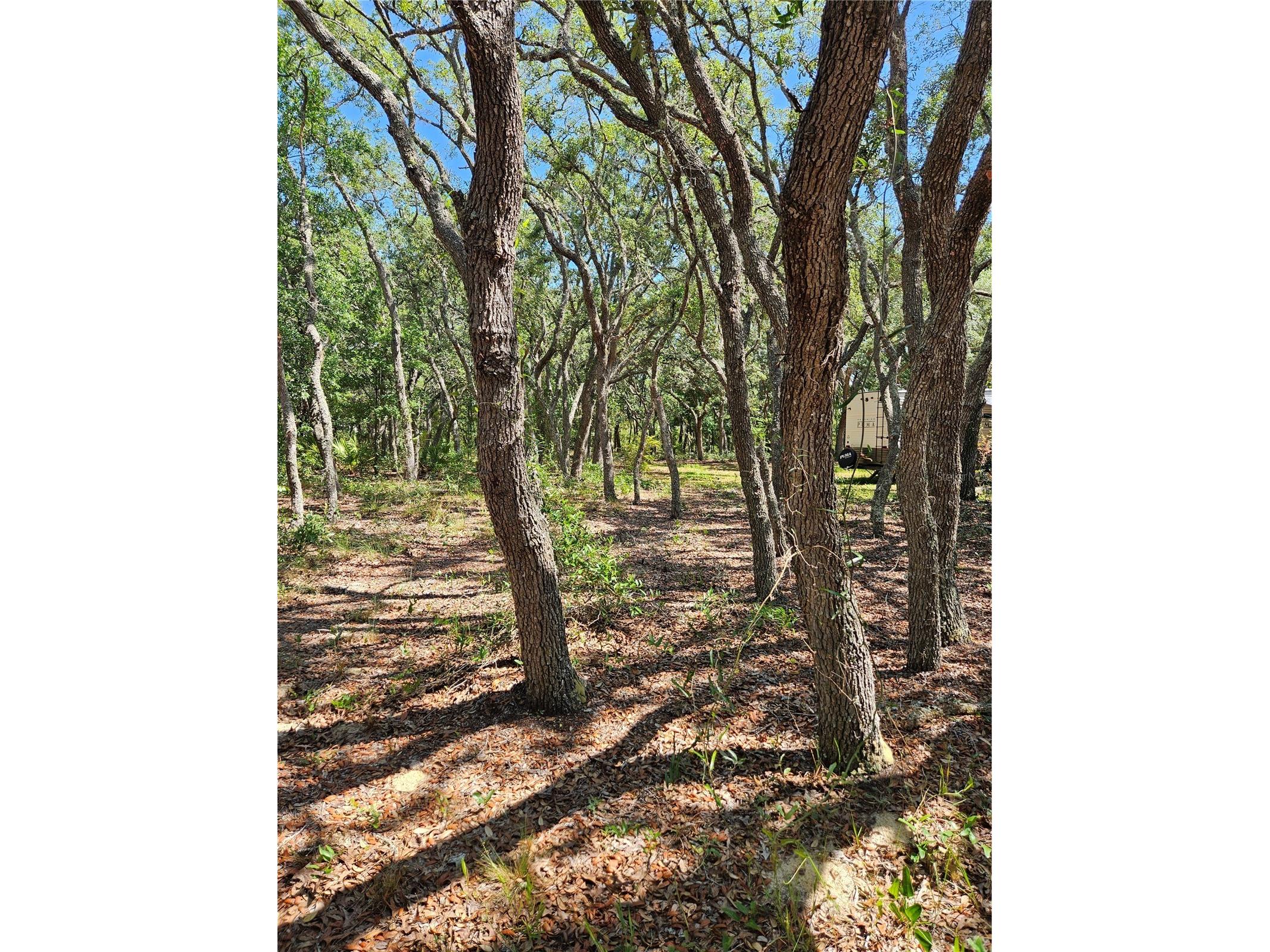 4300 W Roadrunner Court Homosassa FL 34446 TB8514286 image4