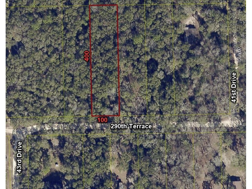 4301 290th Terrace Branford FL 32008 O6105827 image1