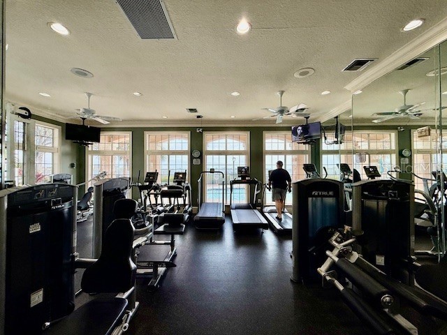 4301 Bay Club Circle #4301 Tampa FL 33607 TB8503047 image10