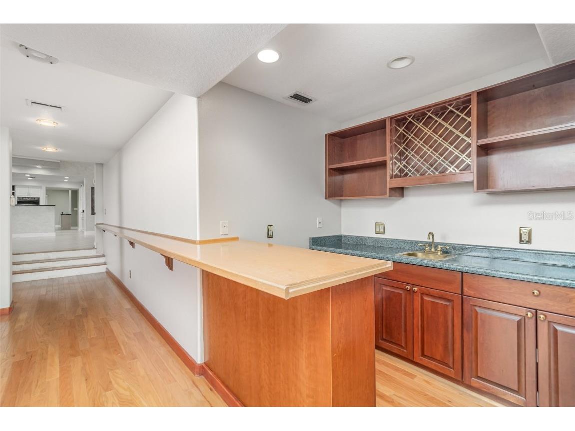 4301 Down Point Lane Windermere FL 34786 O6351950 image21