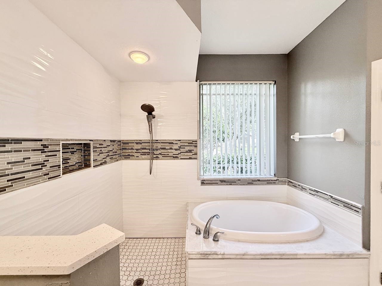 4301 River Close Boulevard Valrico FL 33596 TB8526519 image40