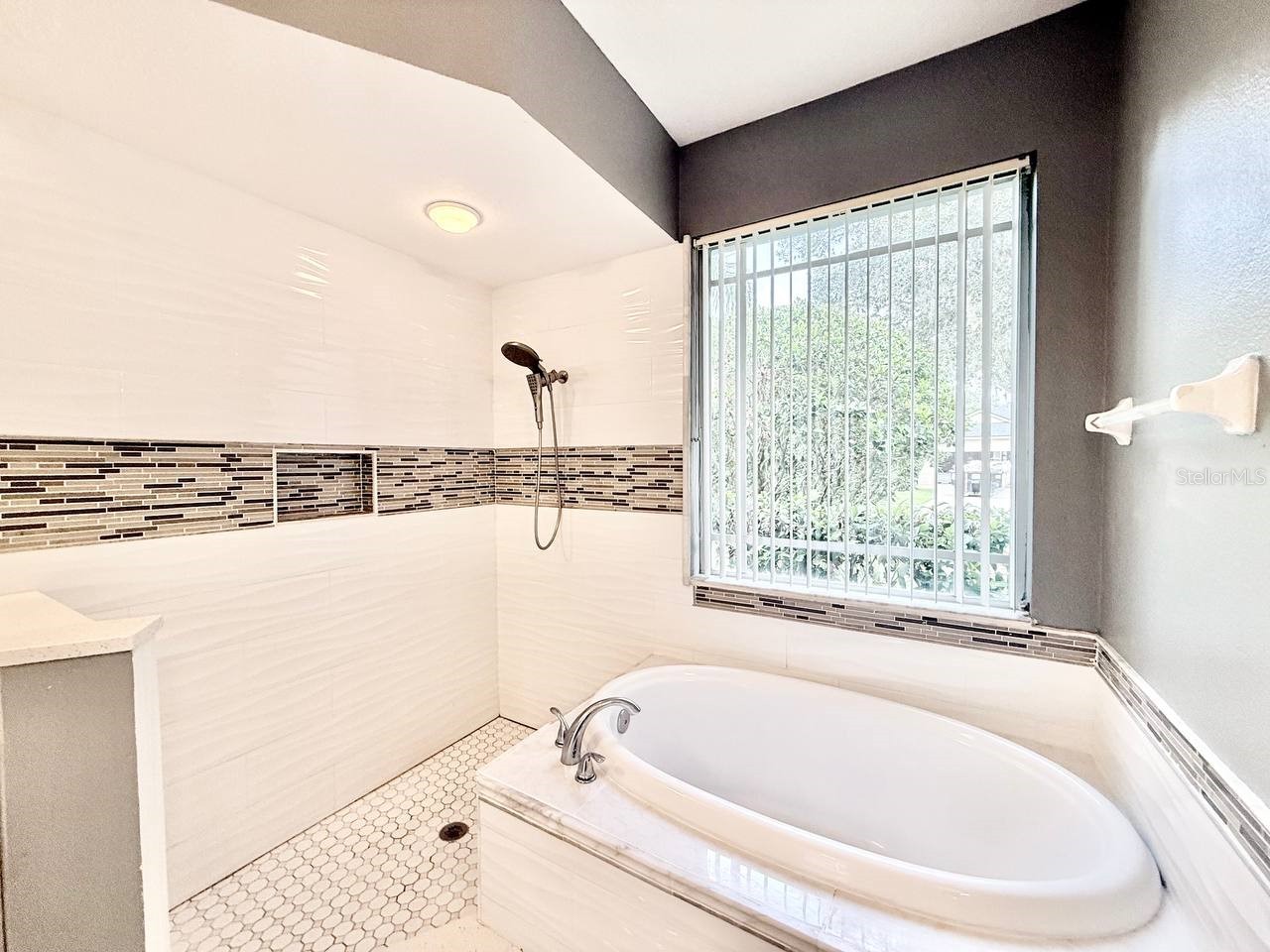 4301 River Close Boulevard Valrico FL 33596 TB8526519 image41