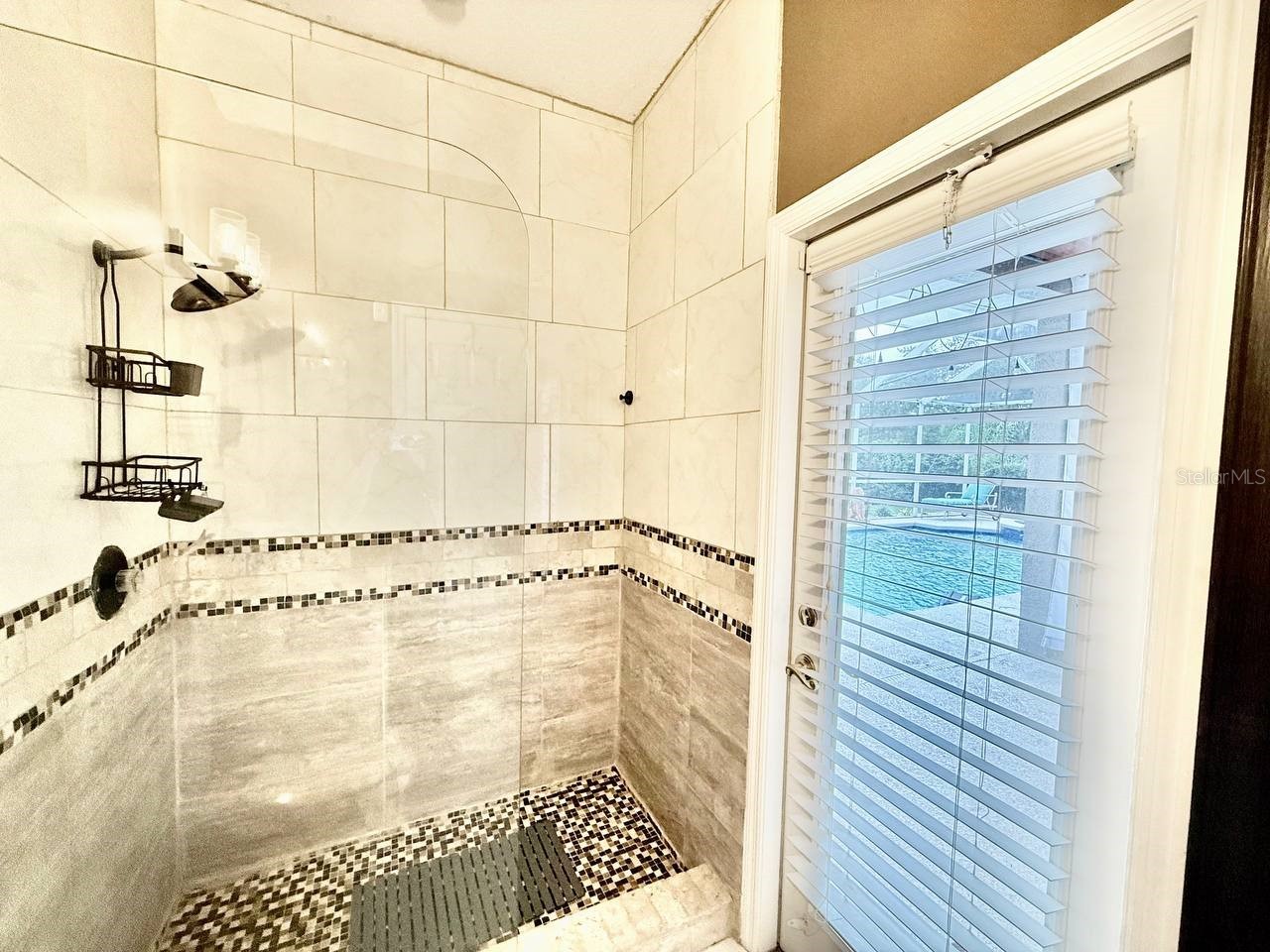 4301 River Close Boulevard Valrico FL 33596 TB8526519 image52