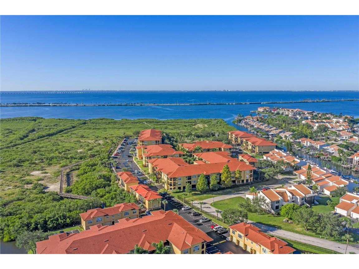 4302 Bayside Village Drive #201 Tampa FL 33615 TB8446854 image1