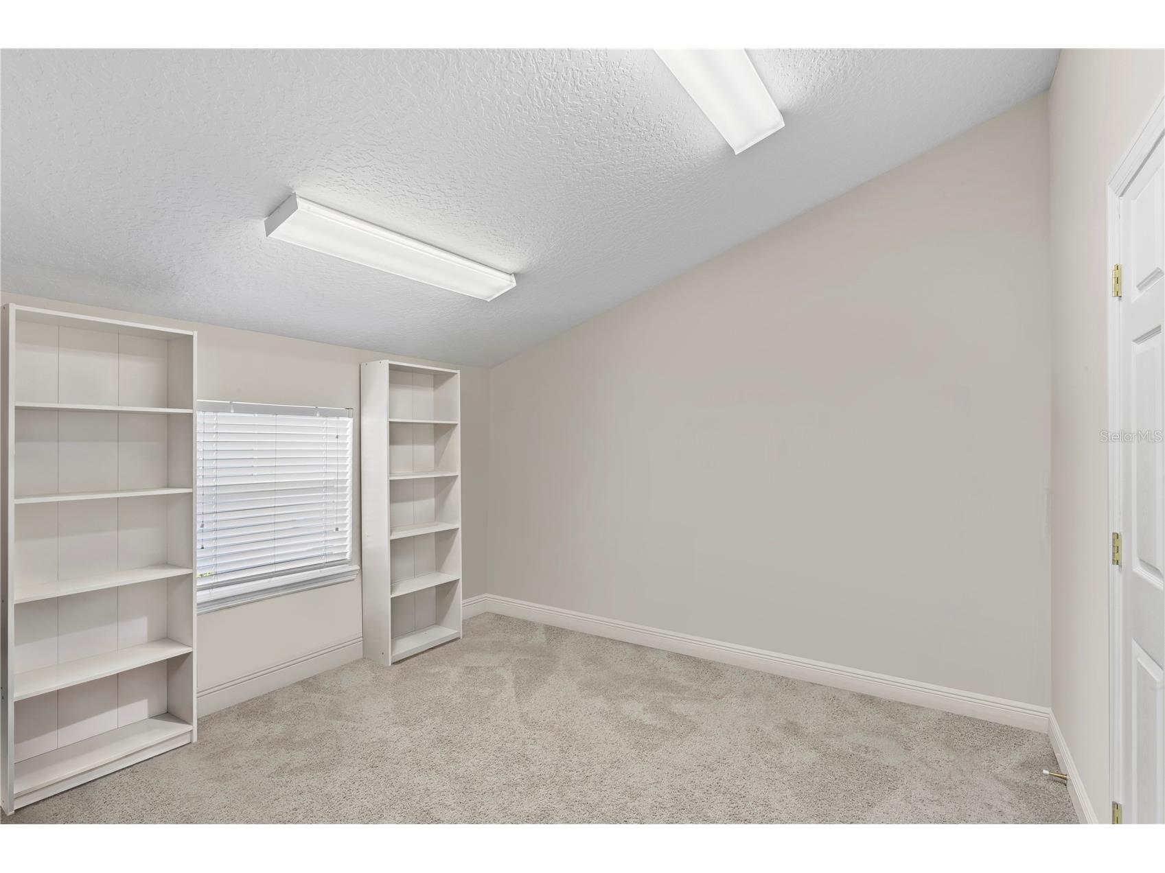 4302 Faircourt Drive Valrico FL 33596 TB8477420 image36