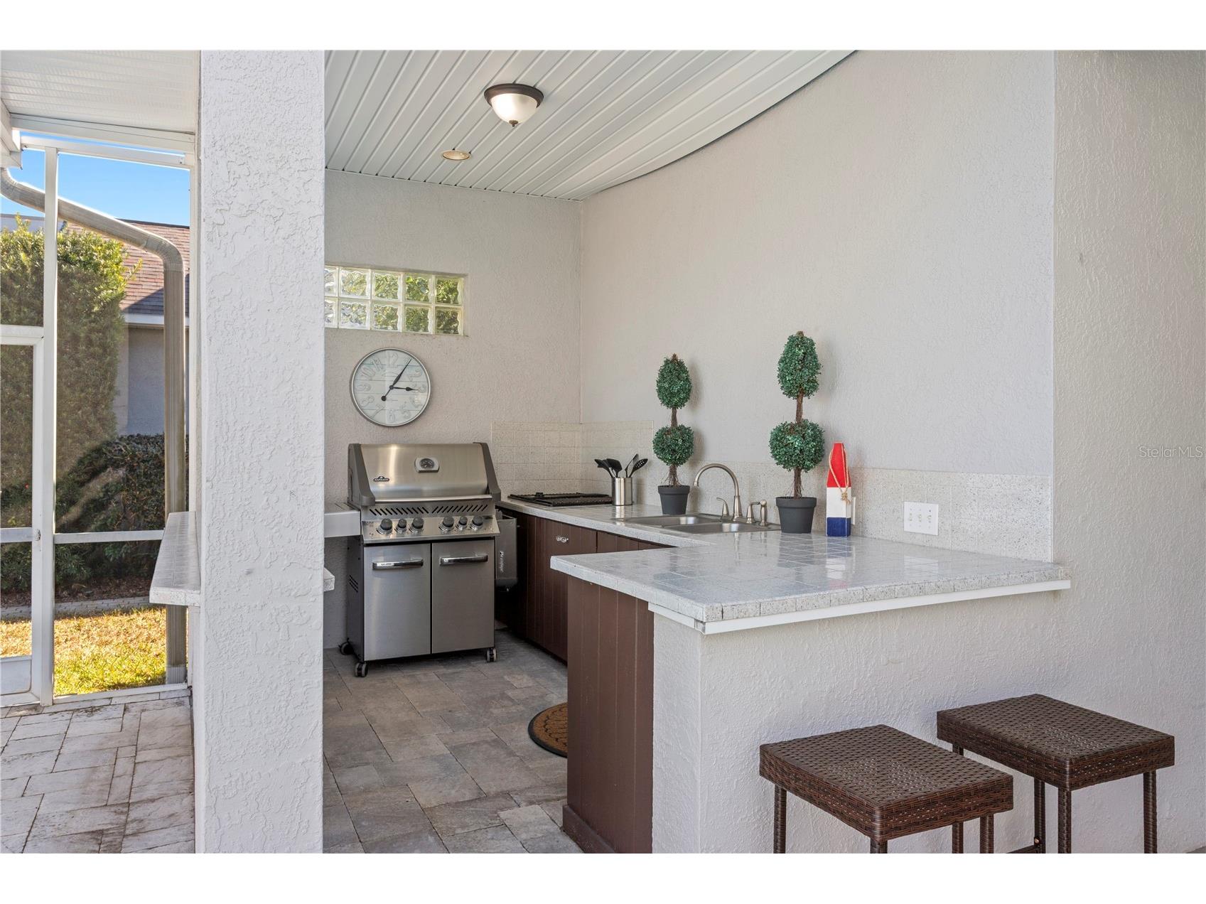 4302 Faircourt Drive Valrico FL 33596 TB8477420 image44