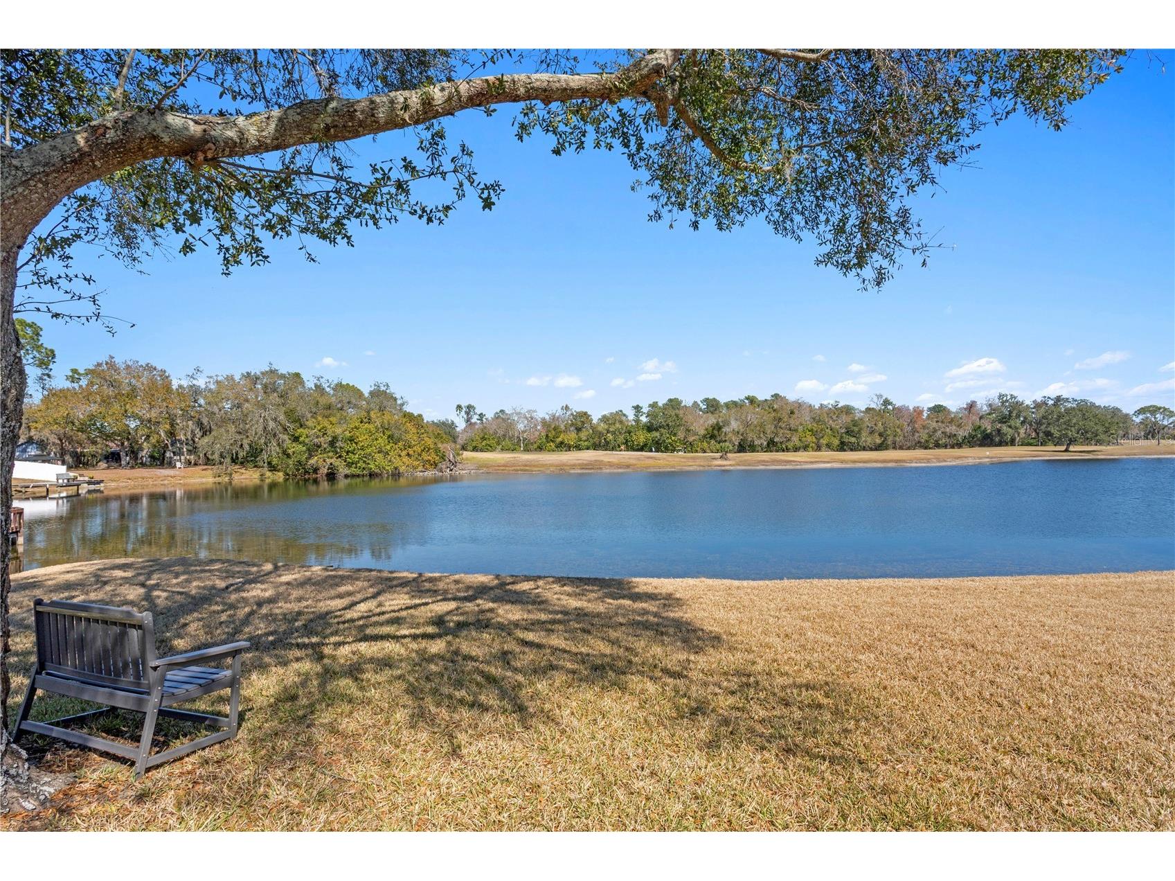 4302 Faircourt Drive Valrico FL 33596 TB8477420 image46