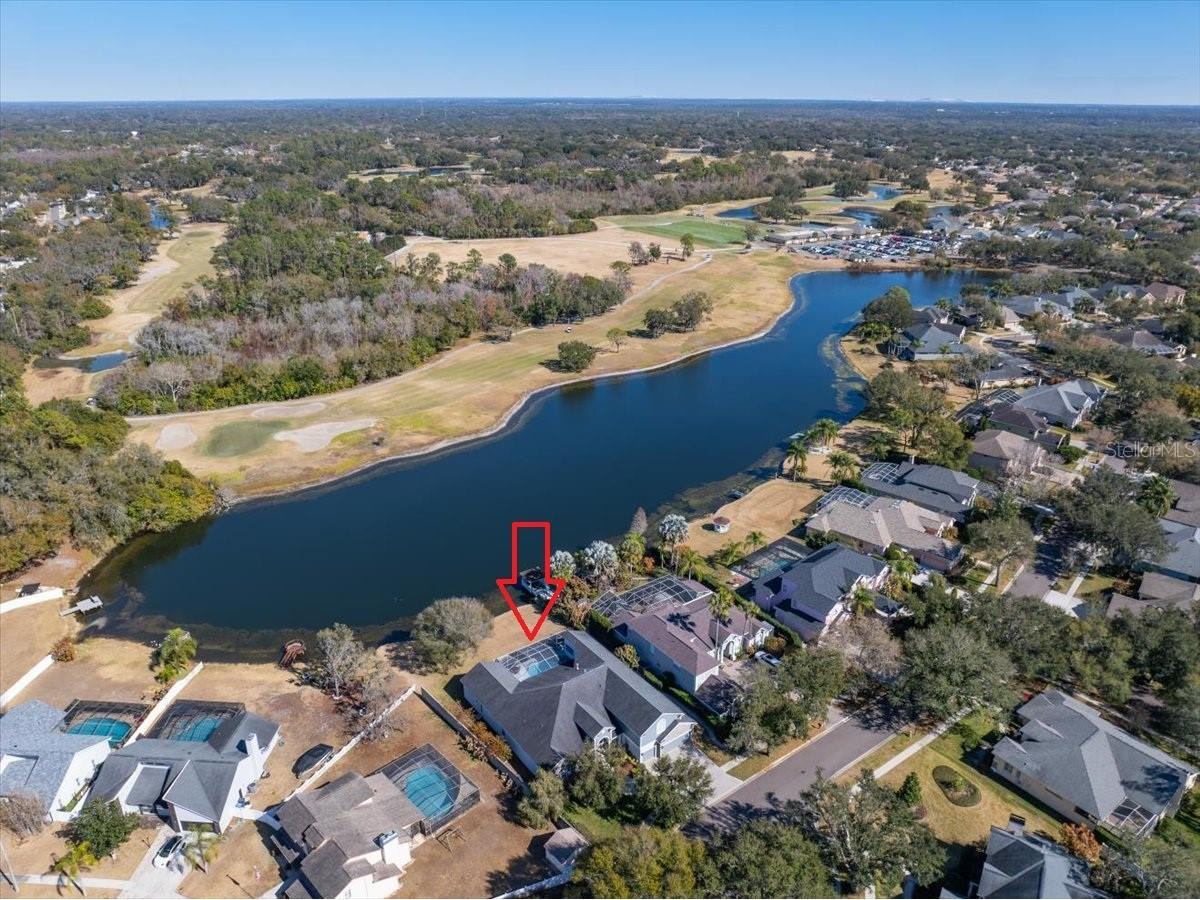 4302 Faircourt Drive Valrico FL 33596 TB8477420 image49