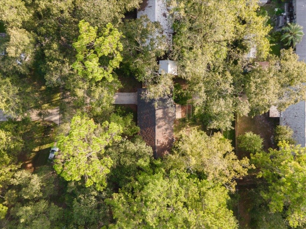 4302 NW 21st Drive Gainesville FL 32605 GC534337 image49