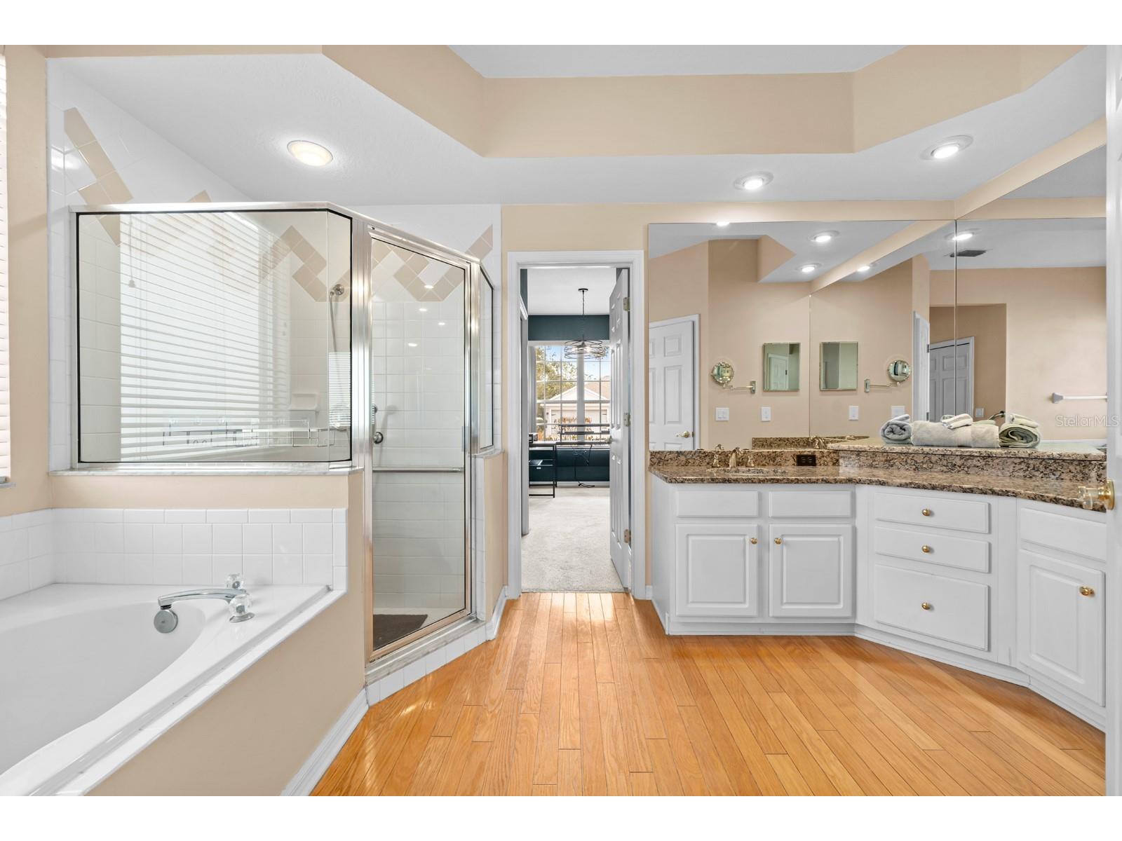 4302 River Close Boulevard Valrico FL 33596 TB8481488 image13