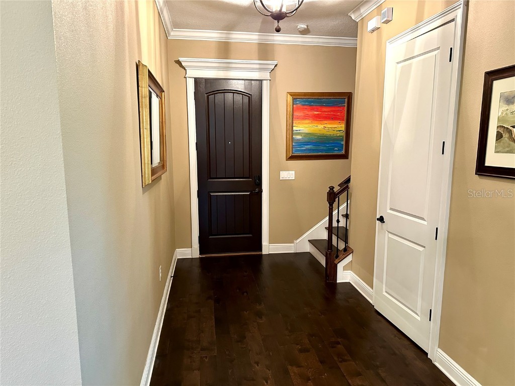 4302 W San Pedro Street Tampa FL 33629 TB8353204 image10