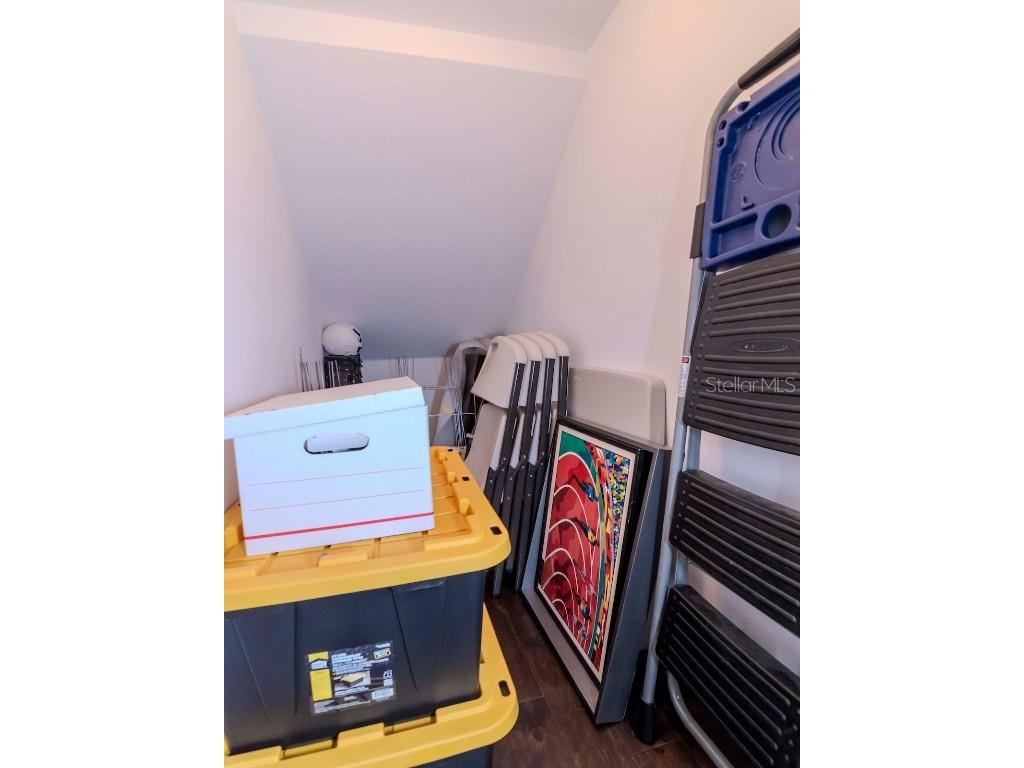 4302 W San Pedro Street Tampa FL 33629 TB8353204 image53