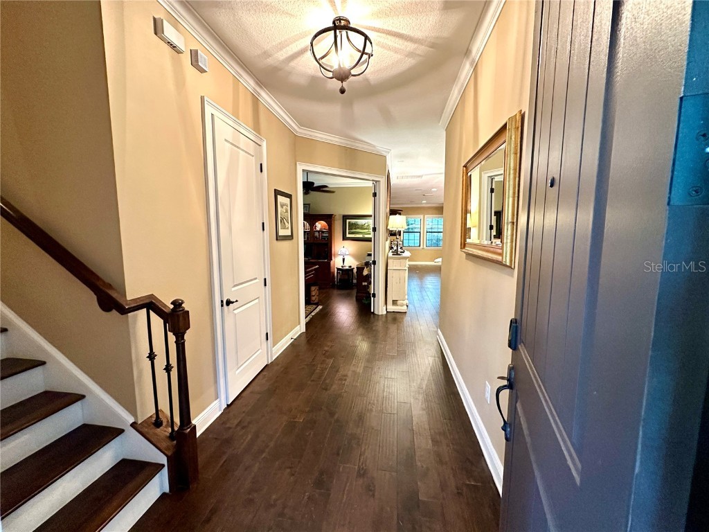 4302 W San Pedro Street Tampa FL 33629 TB8353204 image8