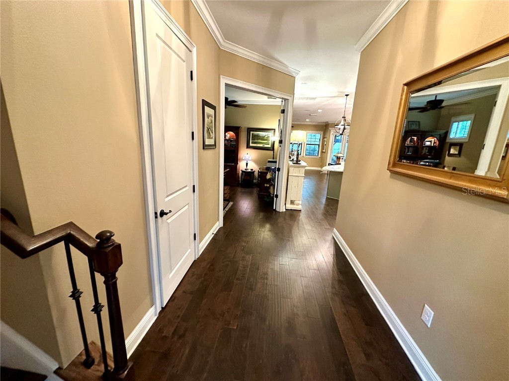 4302 W San Pedro Street Tampa FL 33629 TB8353204 image9