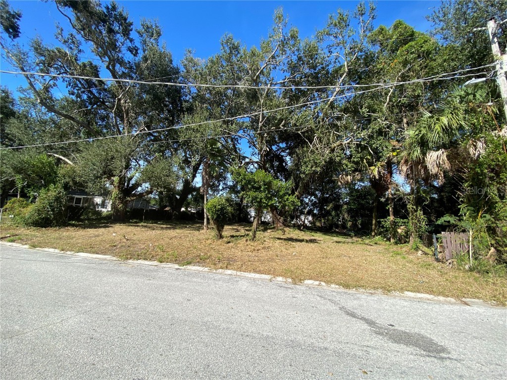 4303 Cragmont Drive Tampa FL 33610 T3491134 image1