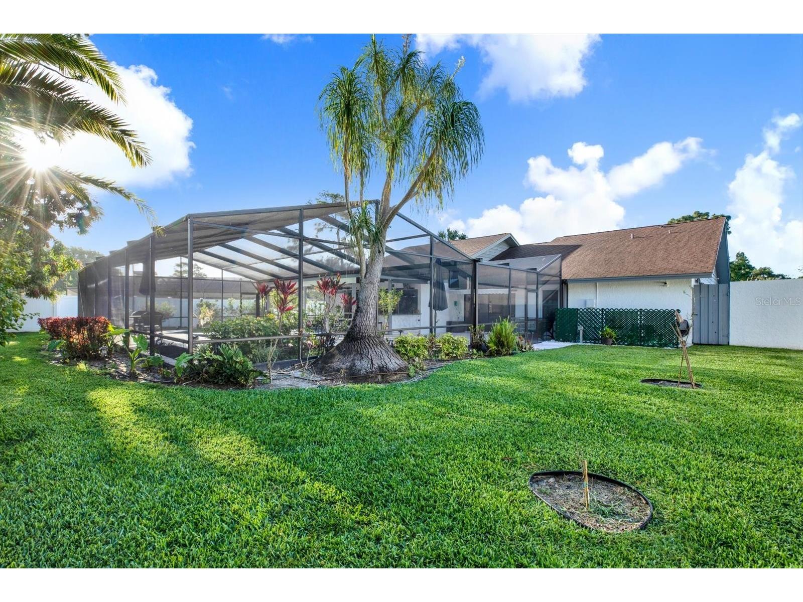 4303 Middle Lake Drive Tampa FL 33624 TB8493189 image28
