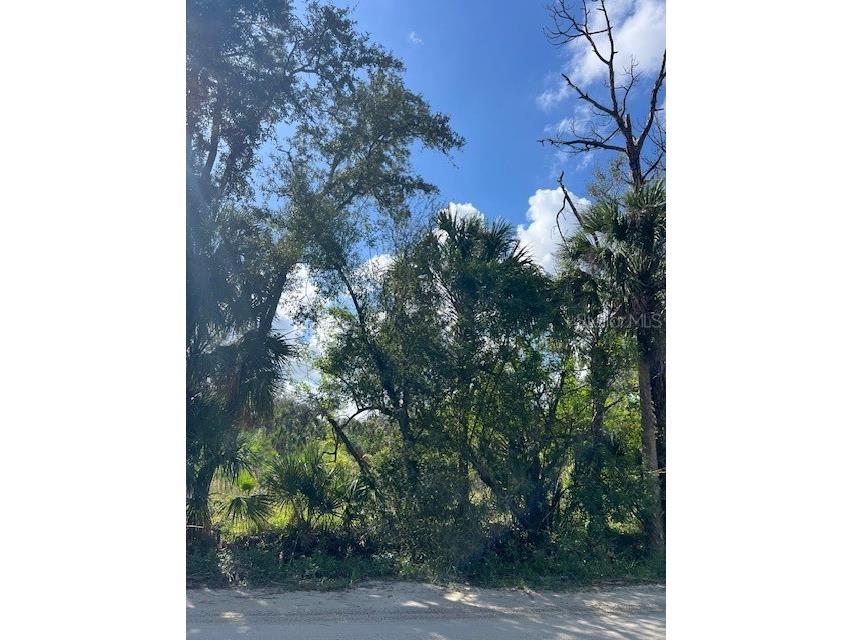 43031 Farabee Road Punta Gorda FL 33982 C7500404 image1