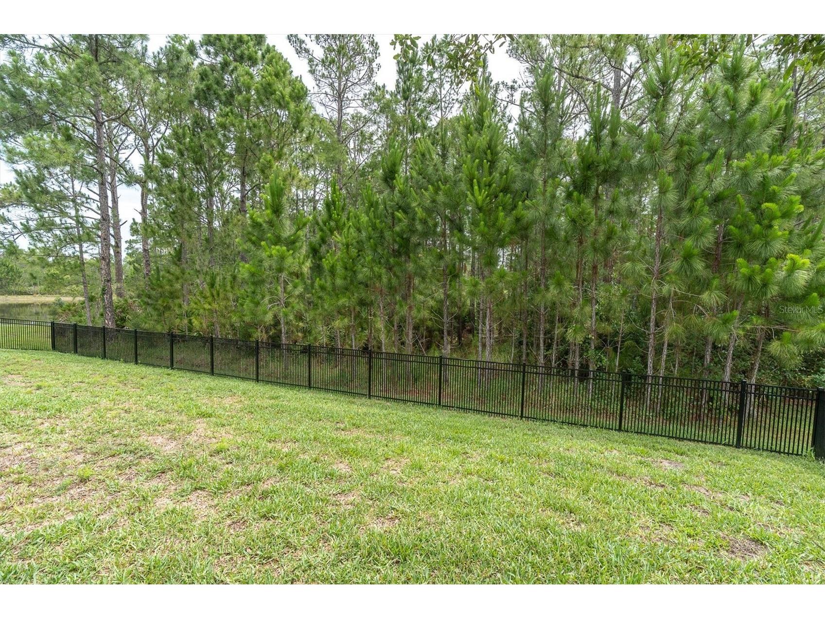 4304 Barbour Trail Odessa FL 33556 TB8514311 image53