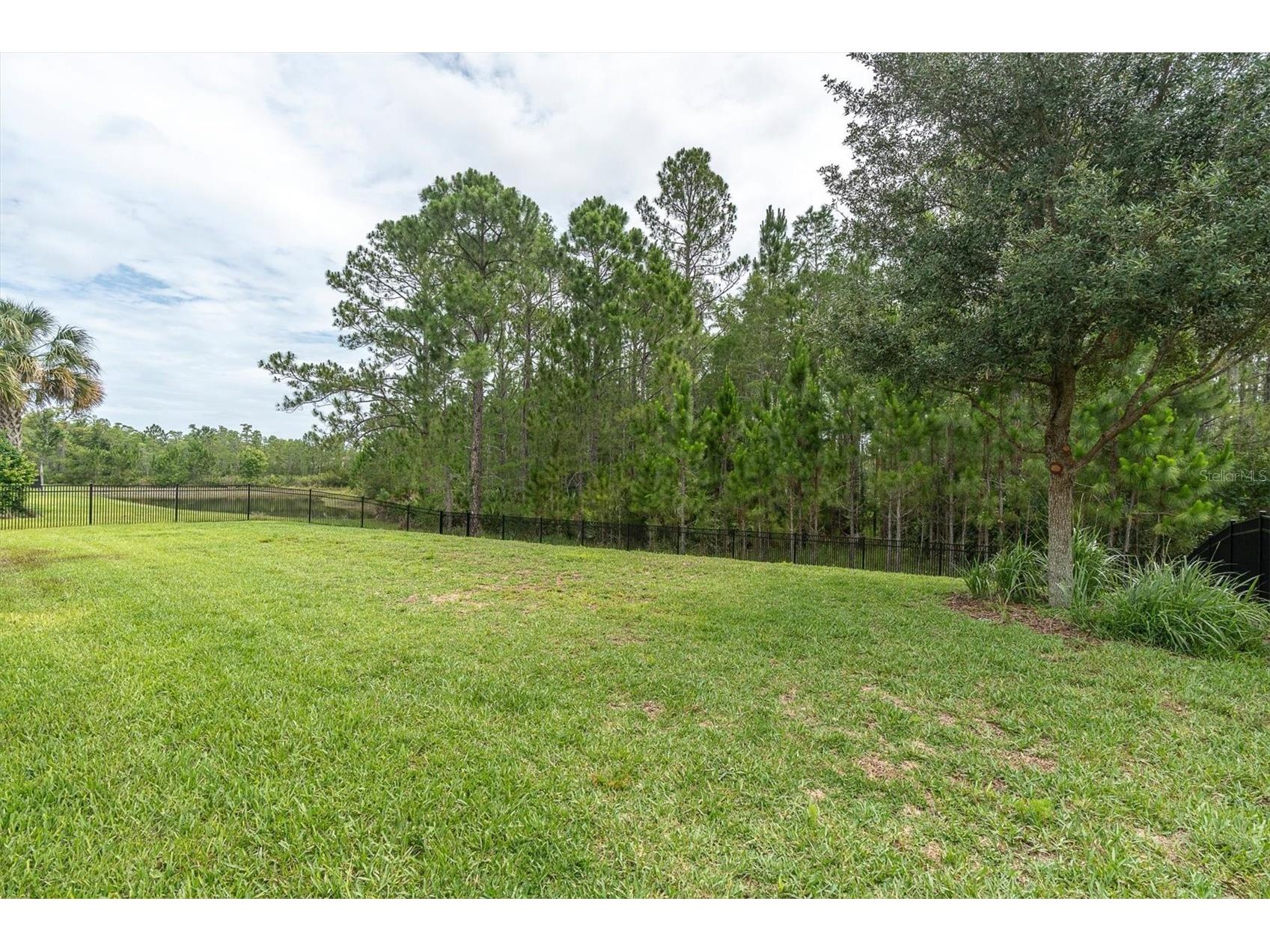 4304 Barbour Trail Odessa FL 33556 TB8514311 image54